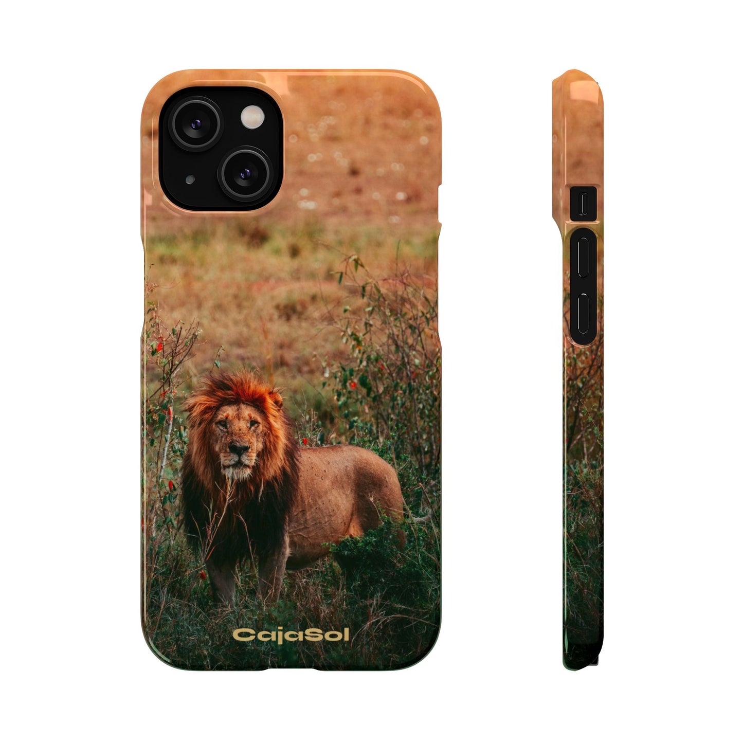 Majestic Lion Cajasol - Nature Inspired