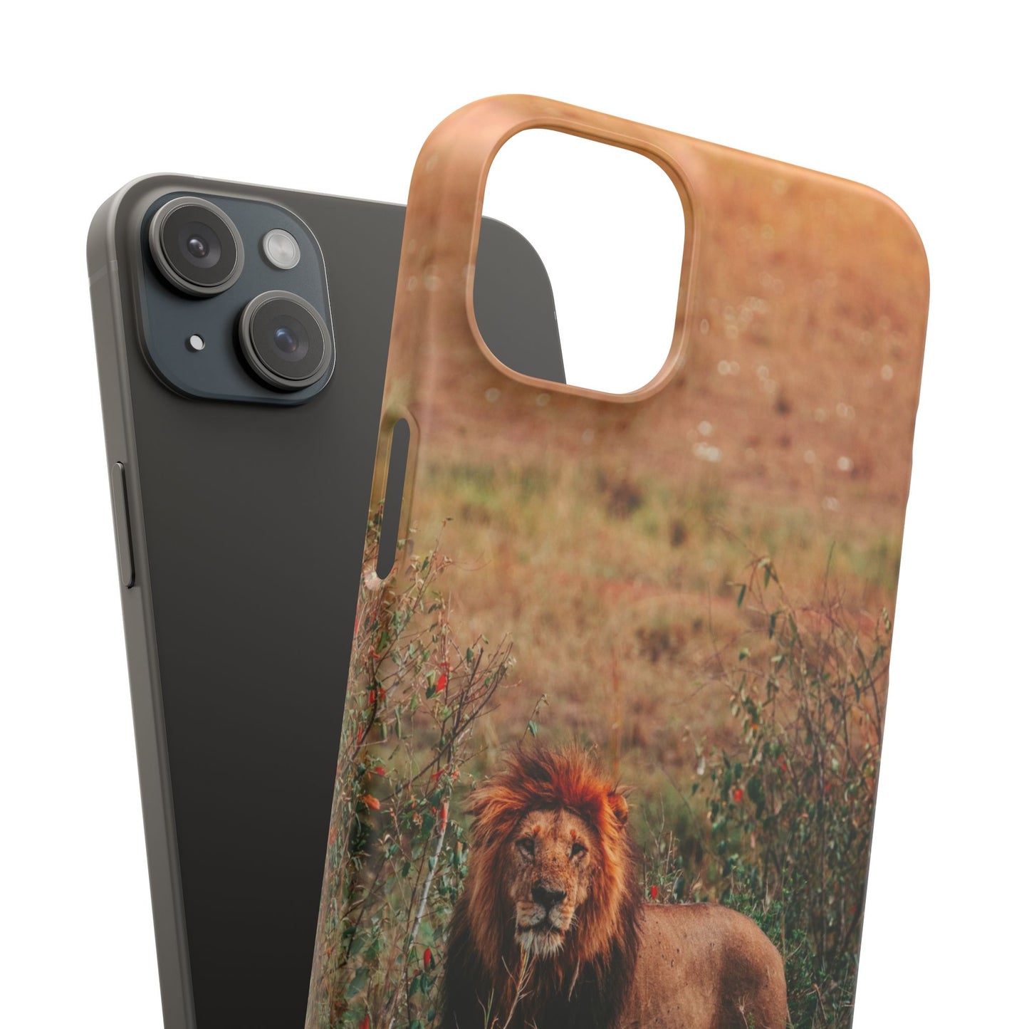 Majestic Lion Cajasol - Nature Inspired