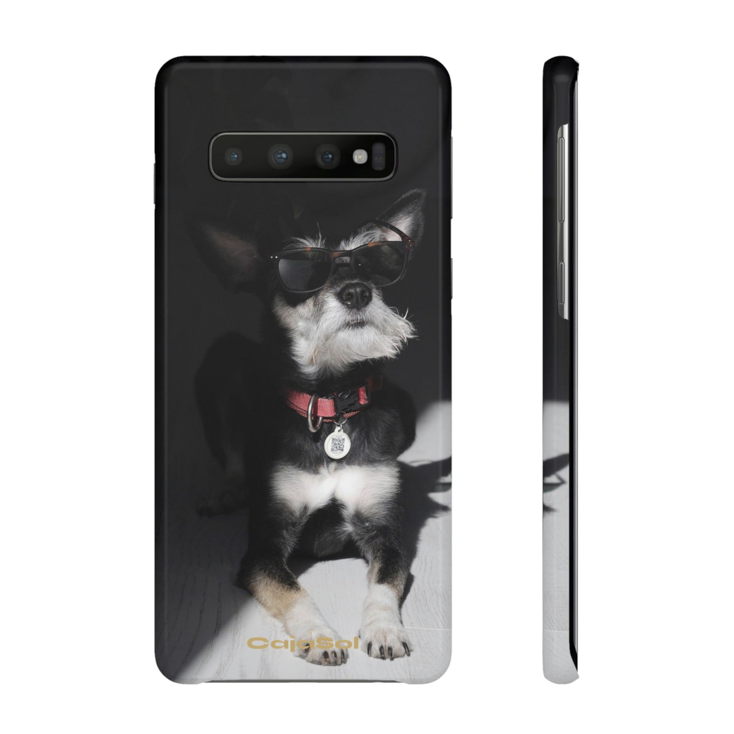 Cool Dog Cajasol - Stylish Pet