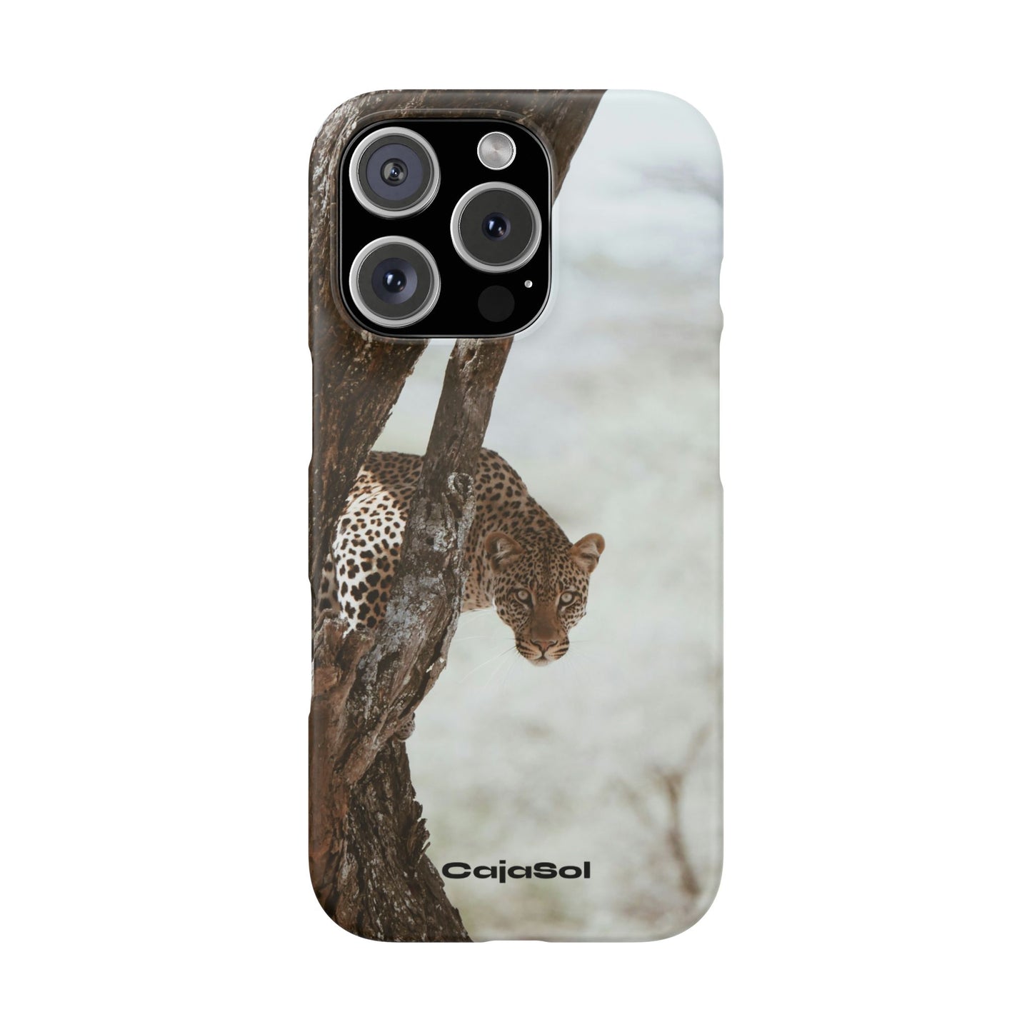 Leopard Cajasol - Wildlife Vibes