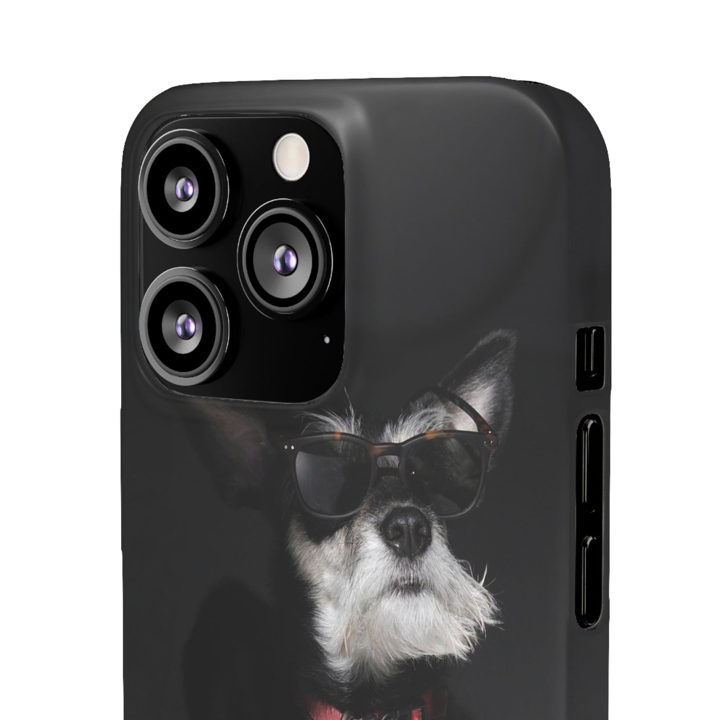 Cool Dog Cajasol - Stylish Pet