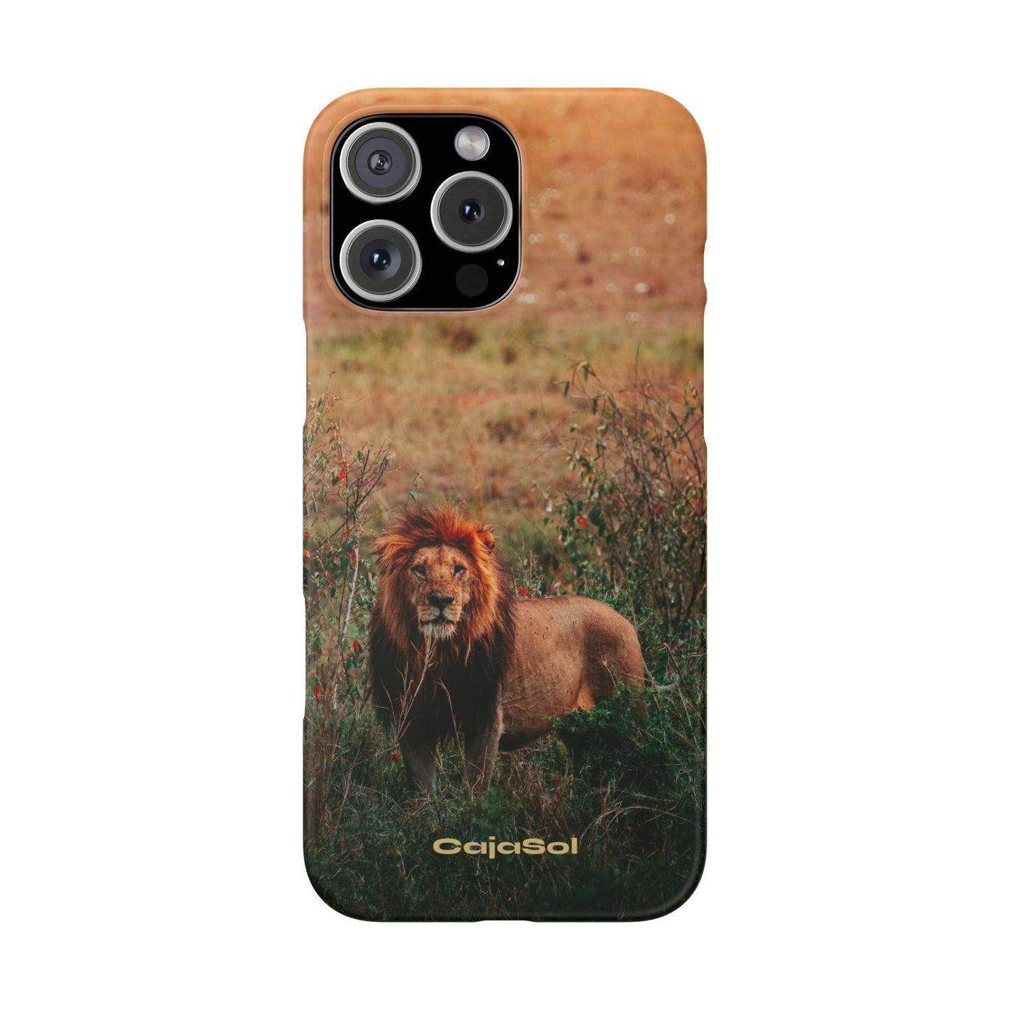 Majestic Lion Cajasol - Nature Inspired