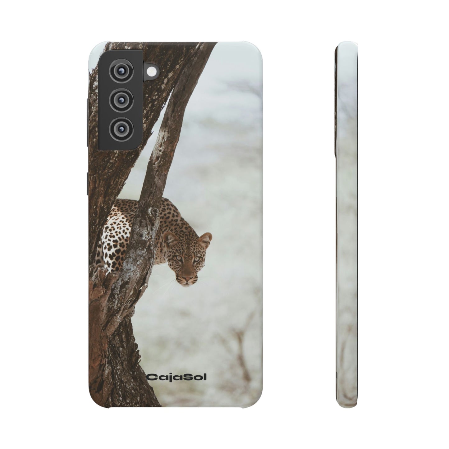 Leopard Cajasol - Wildlife Vibes