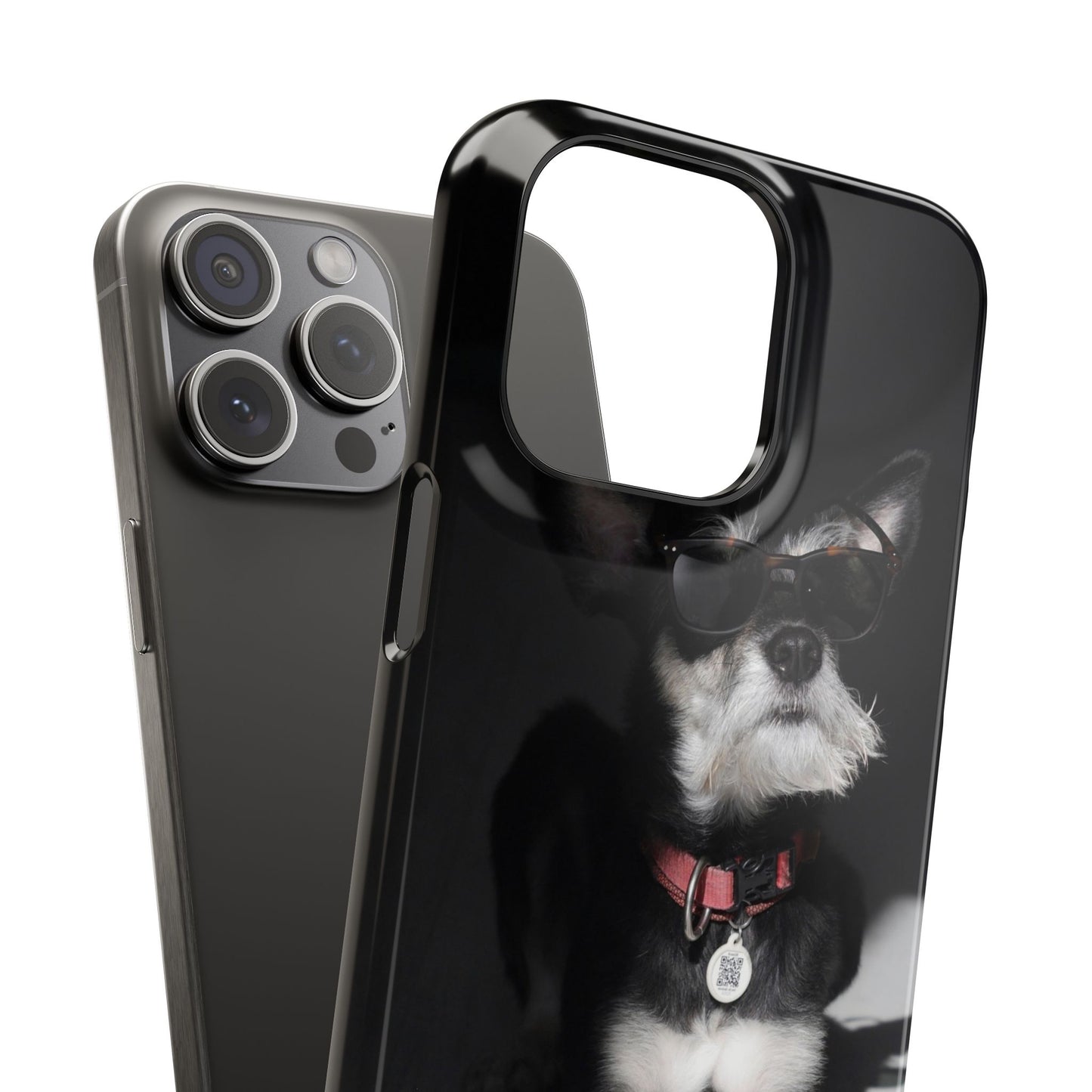 Cool Dog Cajasol - Stylish Pet