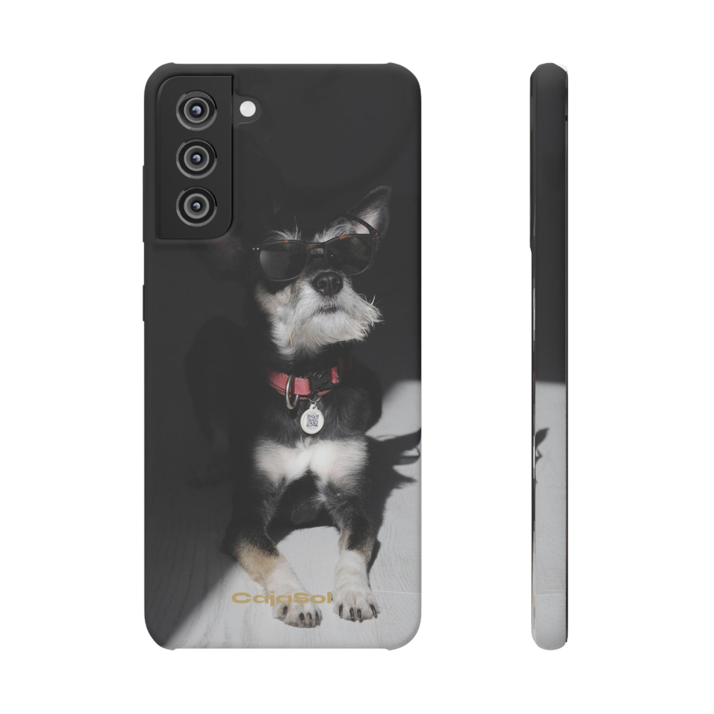 Cool Dog Cajasol - Stylish Pet
