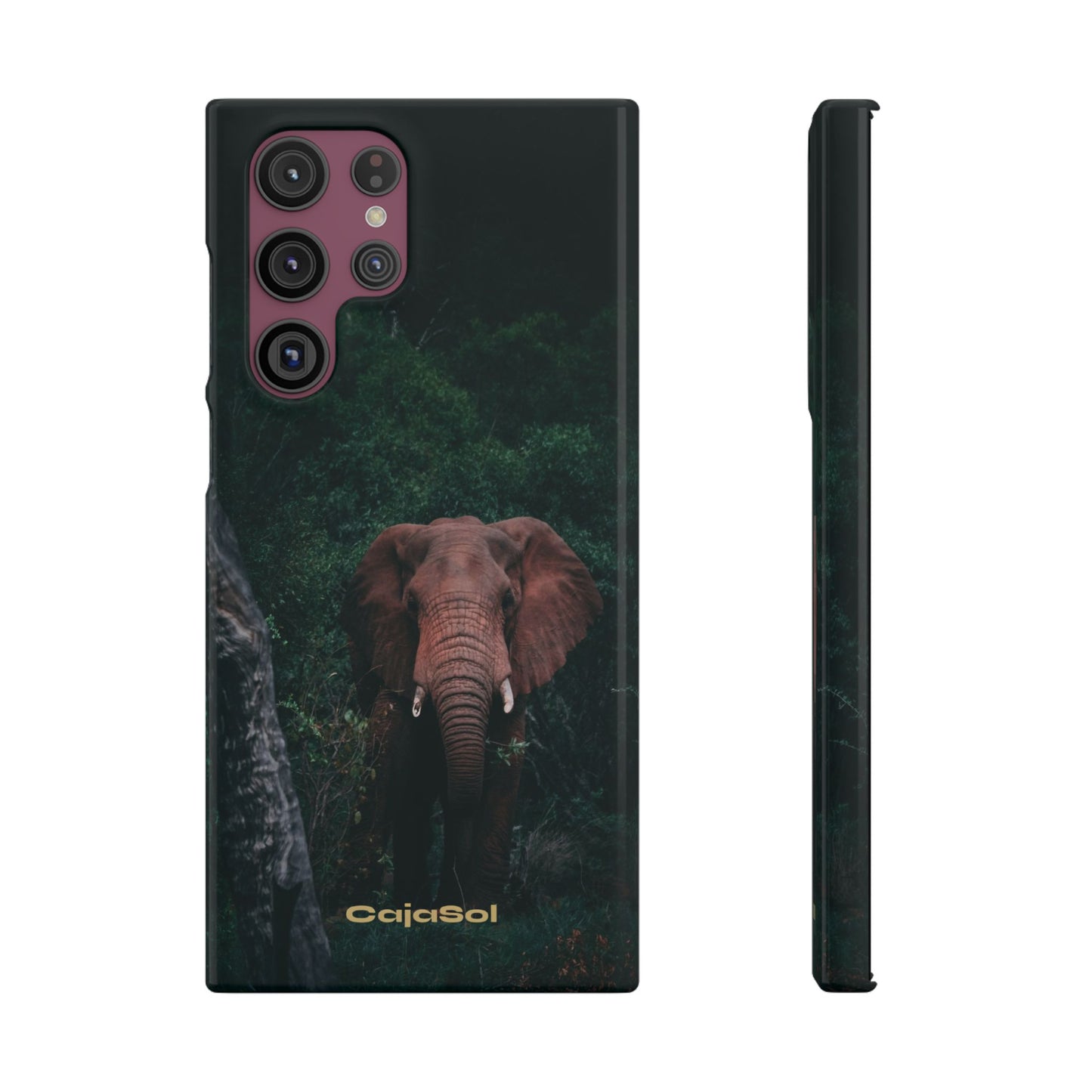 Wildlife Lover's Cajasol - Majestic Elephant