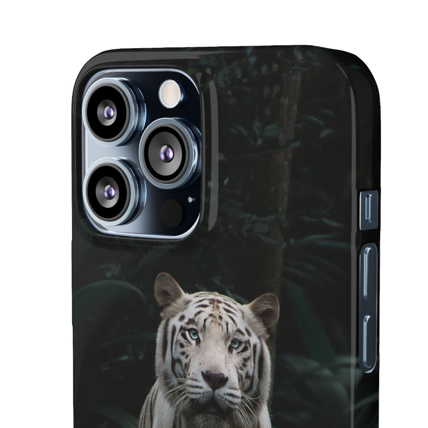 Majestic White Tiger Cajasol - Elegant & Protective for Wildlife Lovers