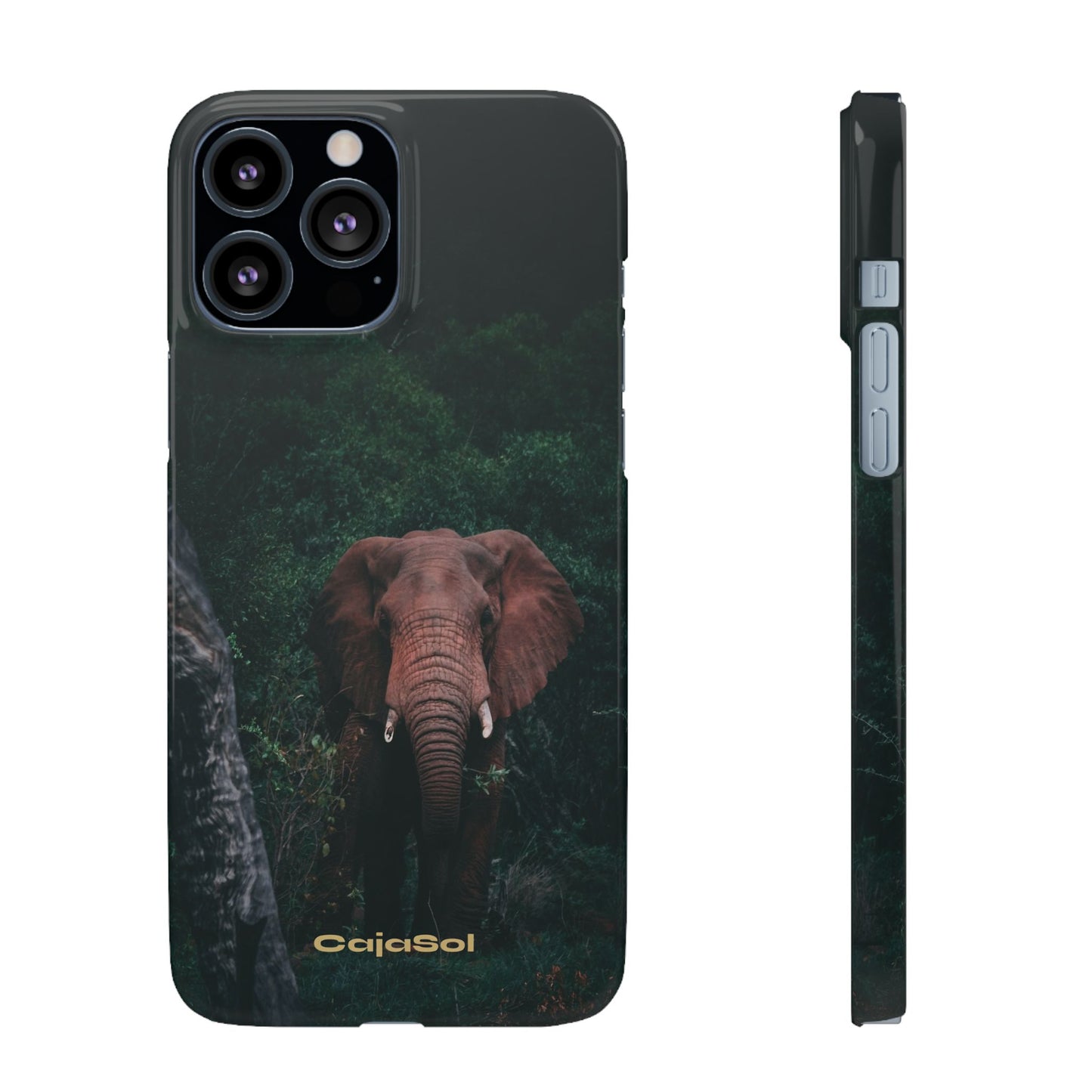 Wildlife Lover's Cajasol - Majestic Elephant