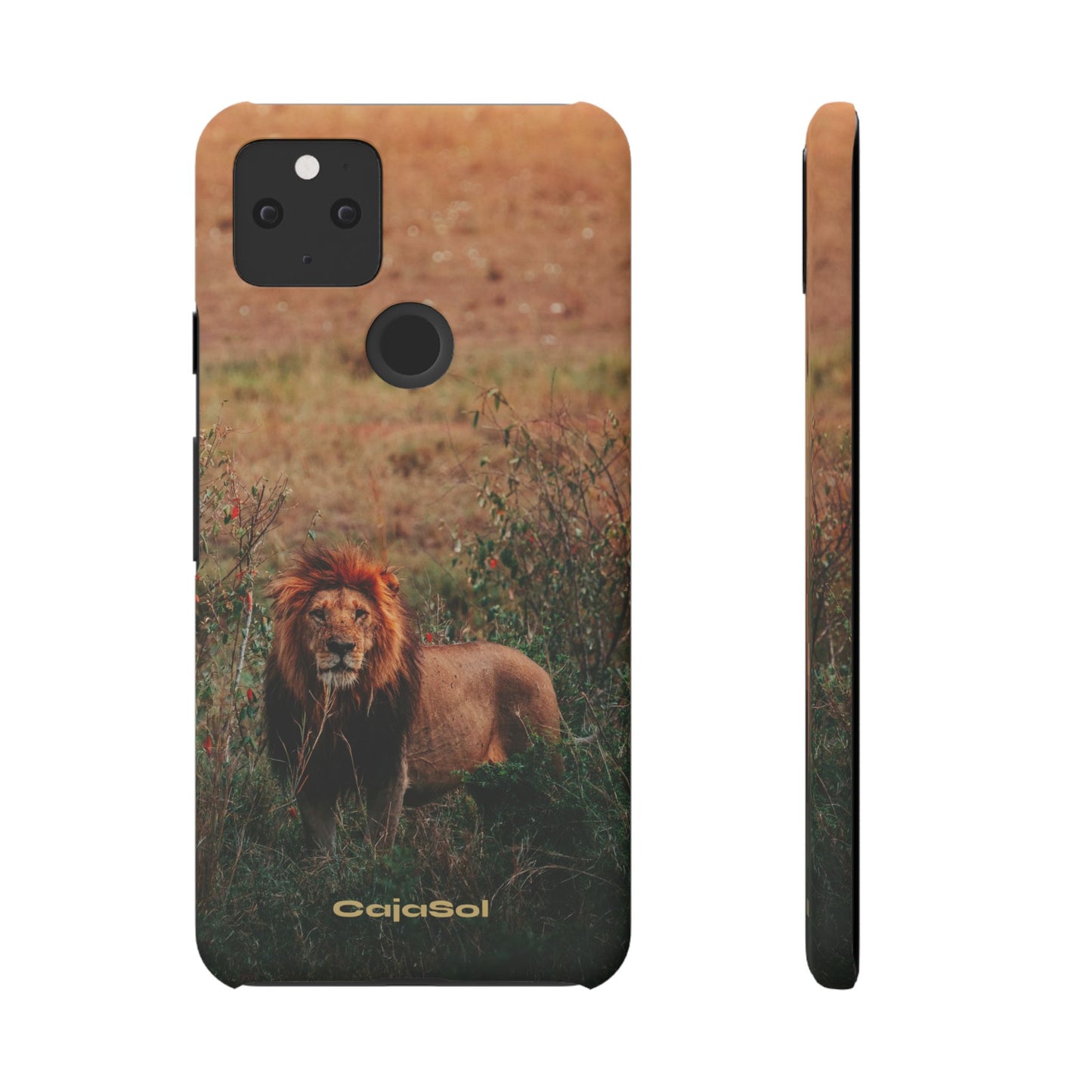Majestic Lion Cajasol - Nature Inspired