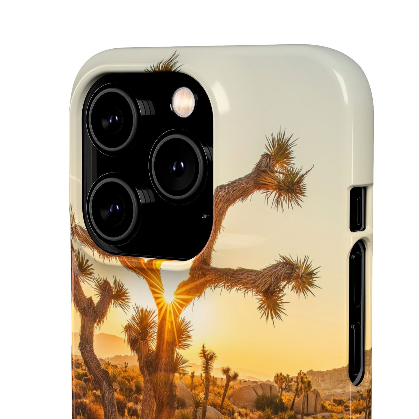 Desert Sunset Cajasol - Stylish Protection for Nature Lovers