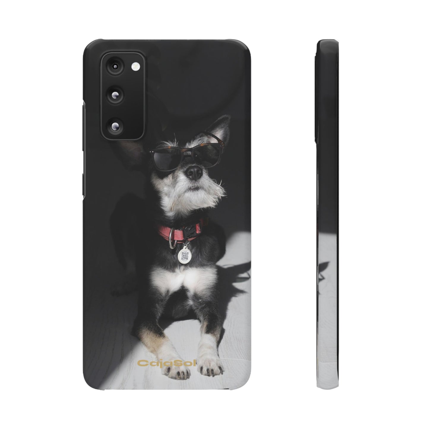 Cool Dog Cajasol - Stylish Pet