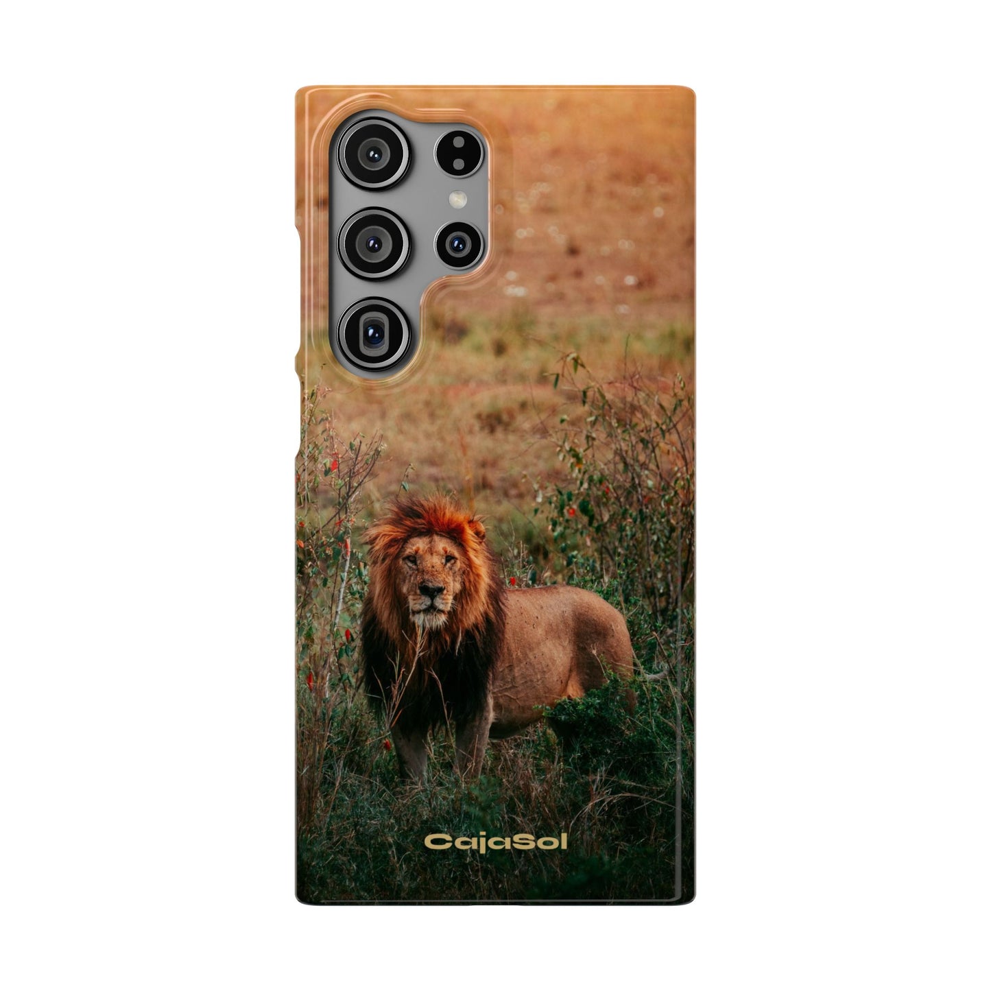 Majestic Lion Cajasol - Nature Inspired