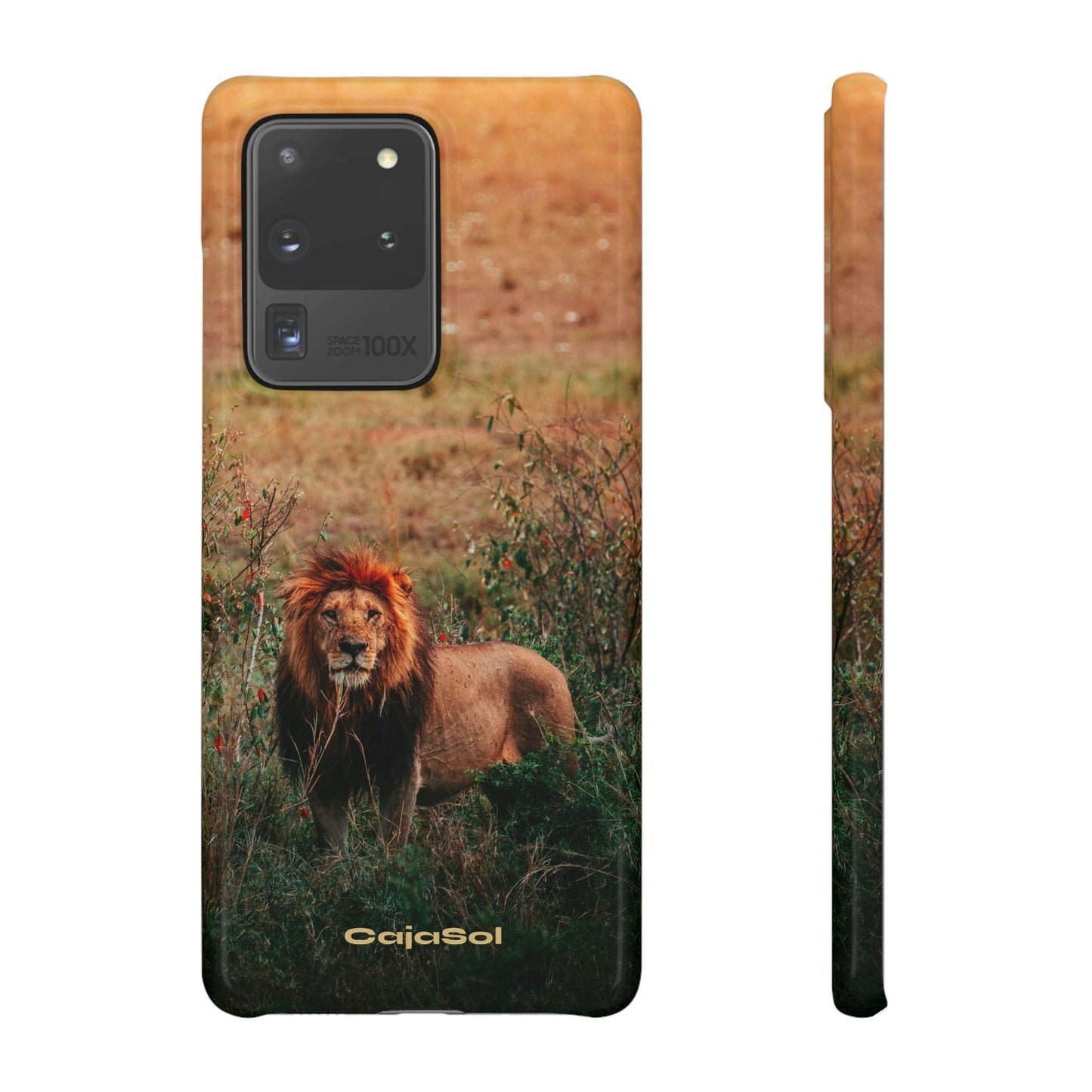 Majestic Lion Cajasol - Nature Inspired