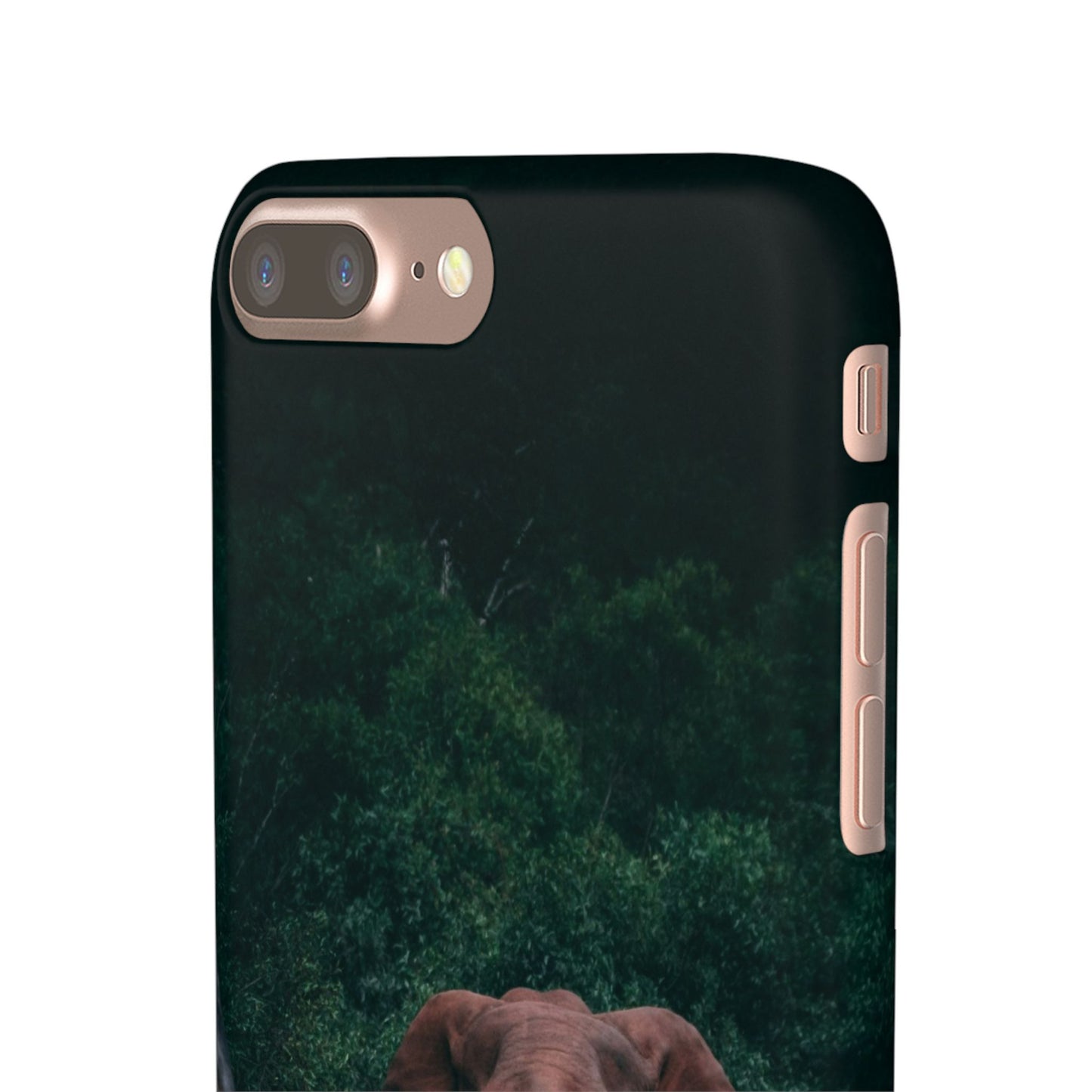 Wildlife Lover's Cajasol - Majestic Elephant
