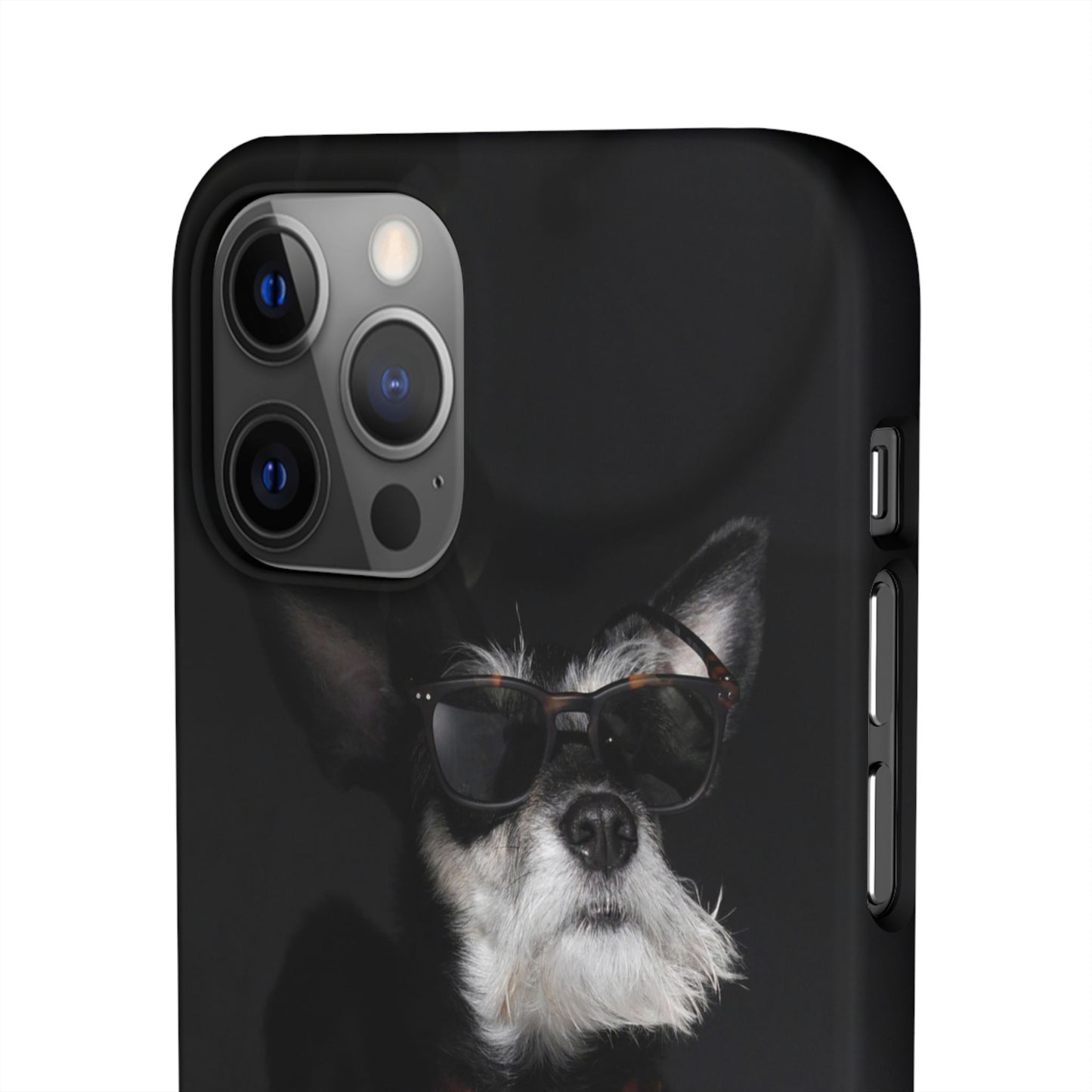 Cool Dog Cajasol - Stylish Pet