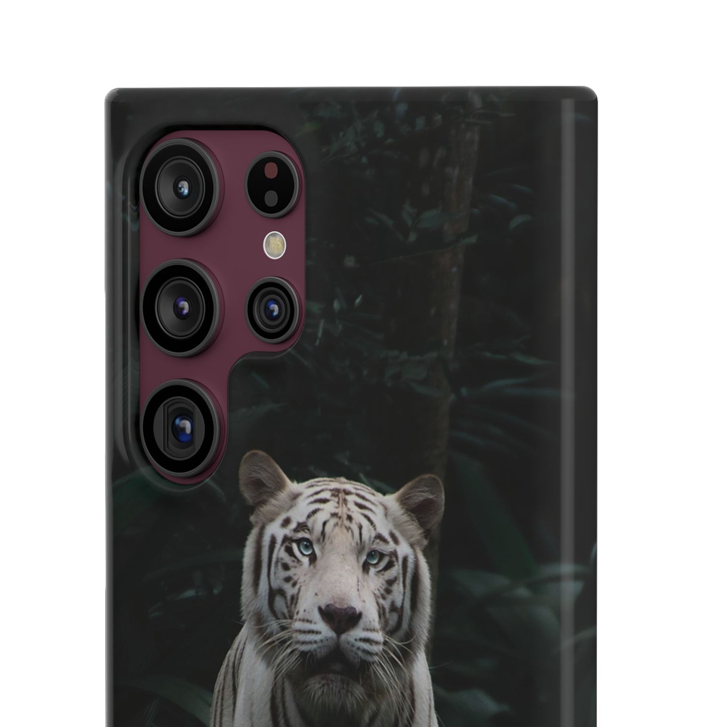 Majestic White Tiger Cajasol - Elegant & Protective for Wildlife Lovers