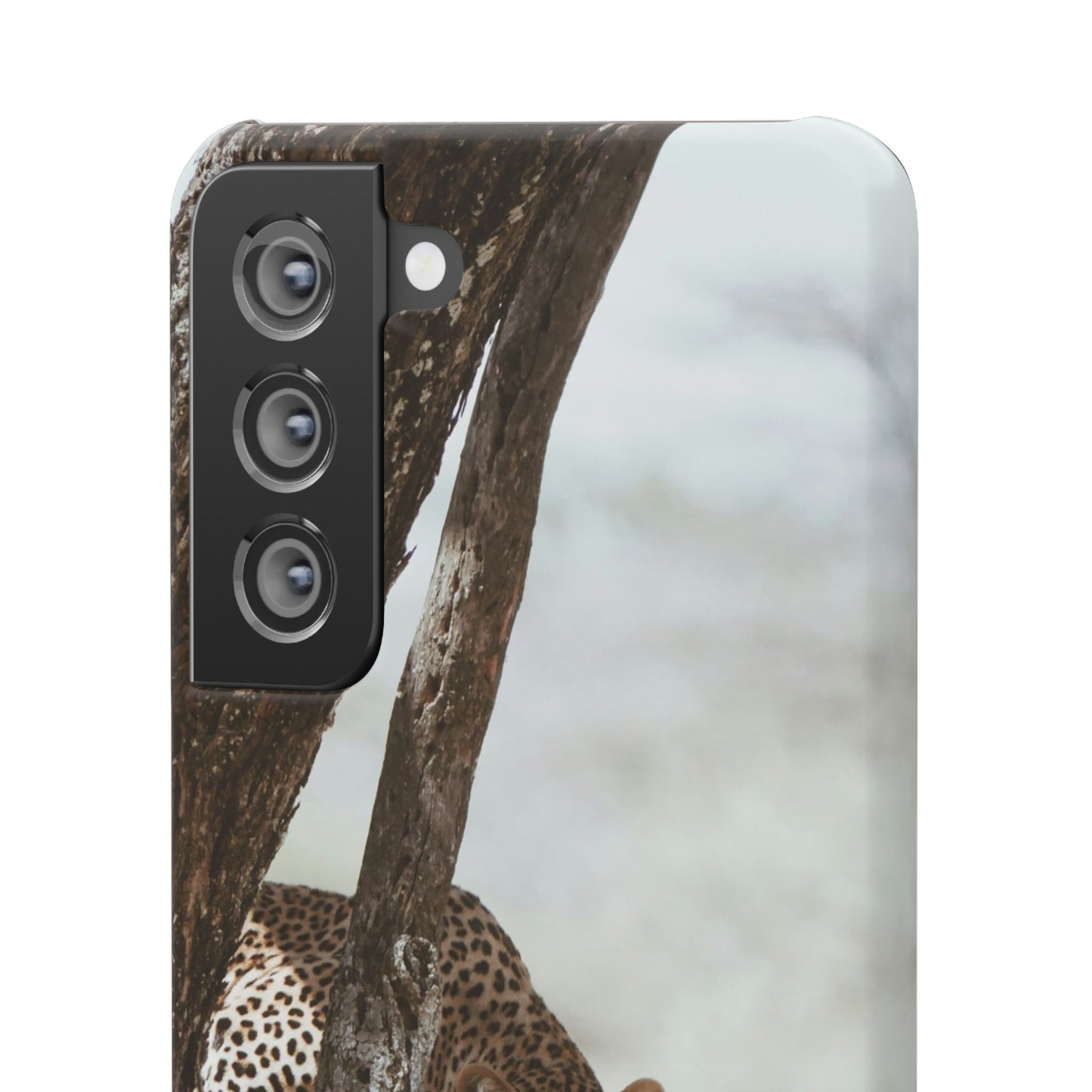 Leopard Cajasol - Wildlife Vibes