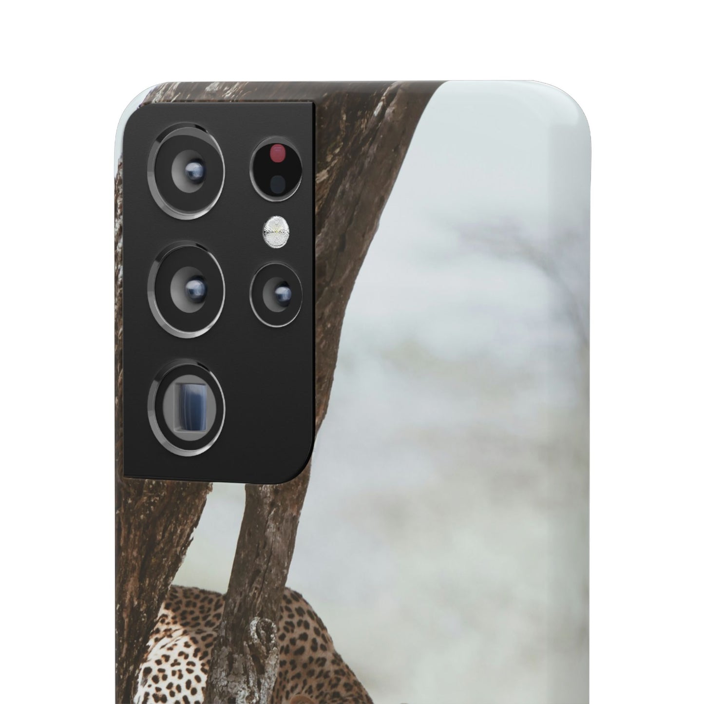 Leopard Cajasol - Wildlife Vibes