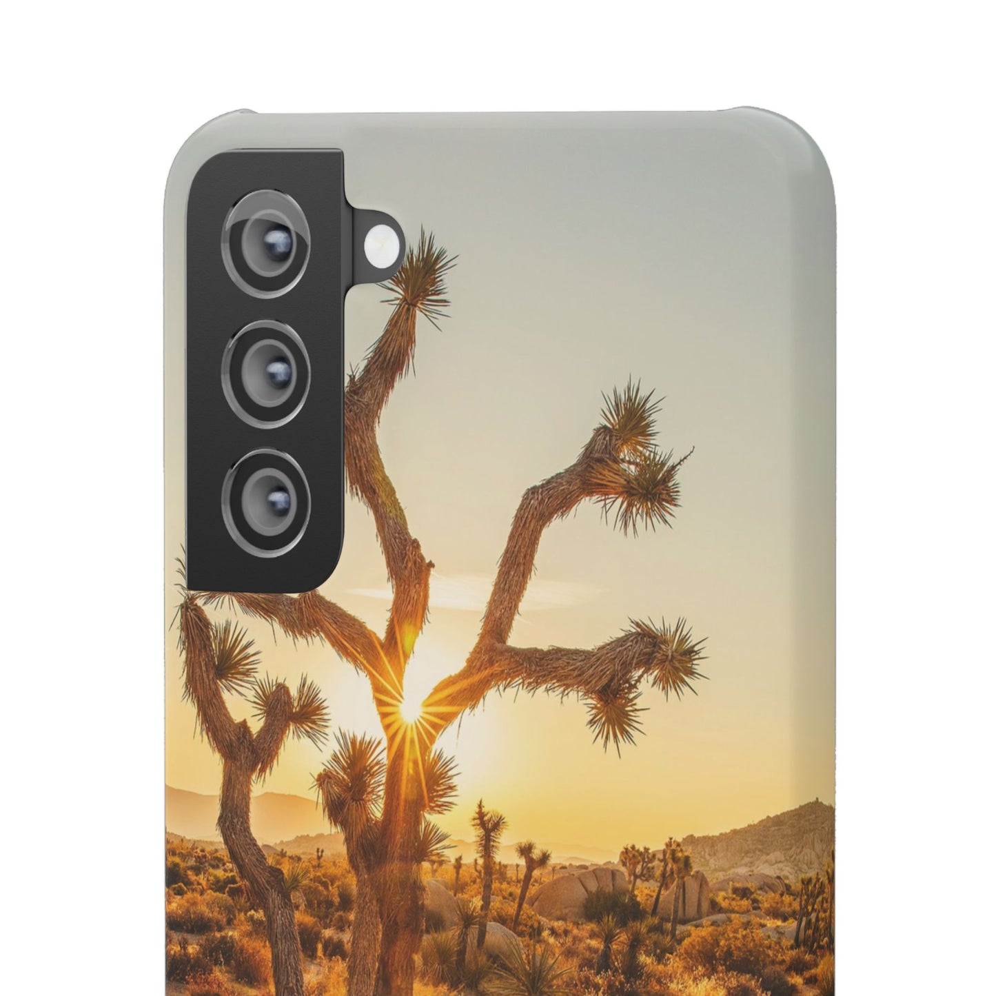 Desert Sunset Cajasol - Stylish Protection for Nature Lovers
