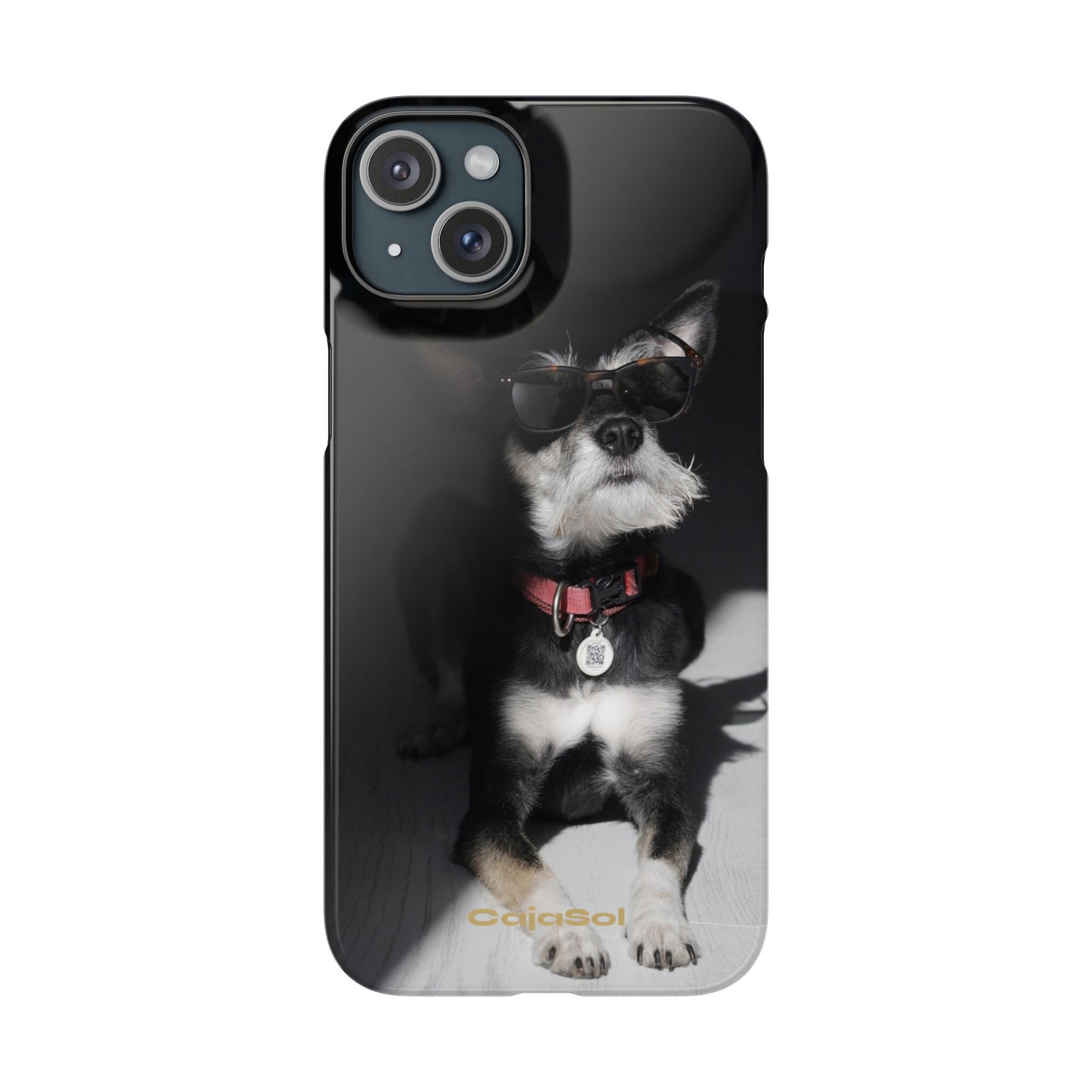 Cool Dog Cajasol - Stylish Pet