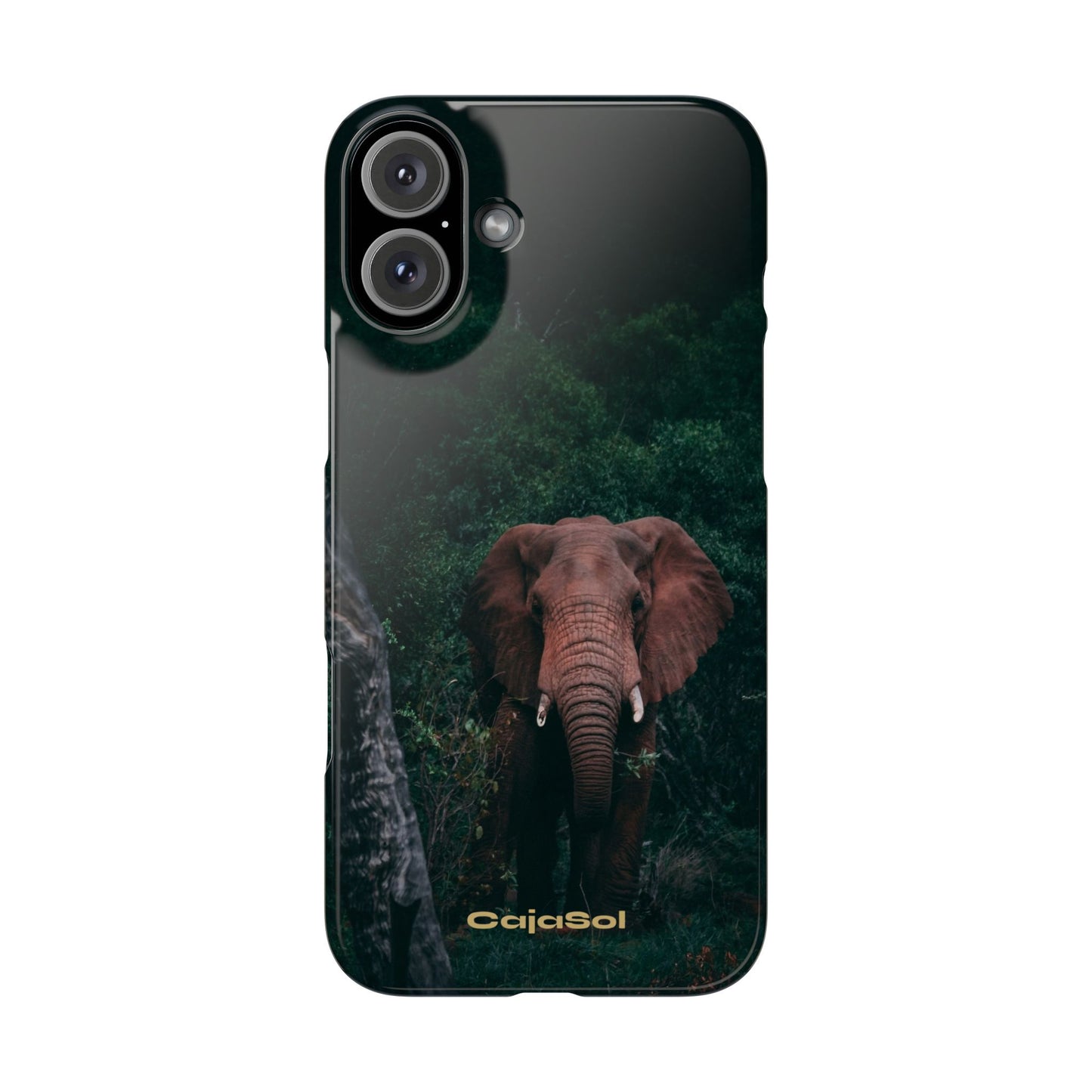 Wildlife Lover's Cajasol - Majestic Elephant