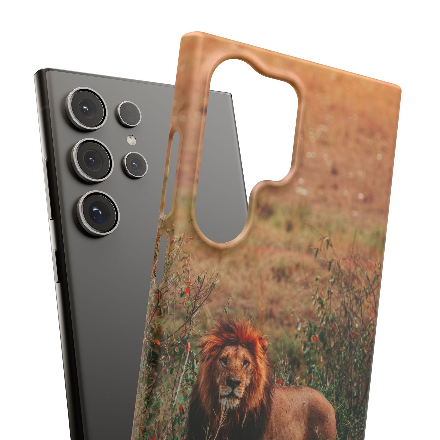 Majestic Lion Cajasol - Nature Inspired