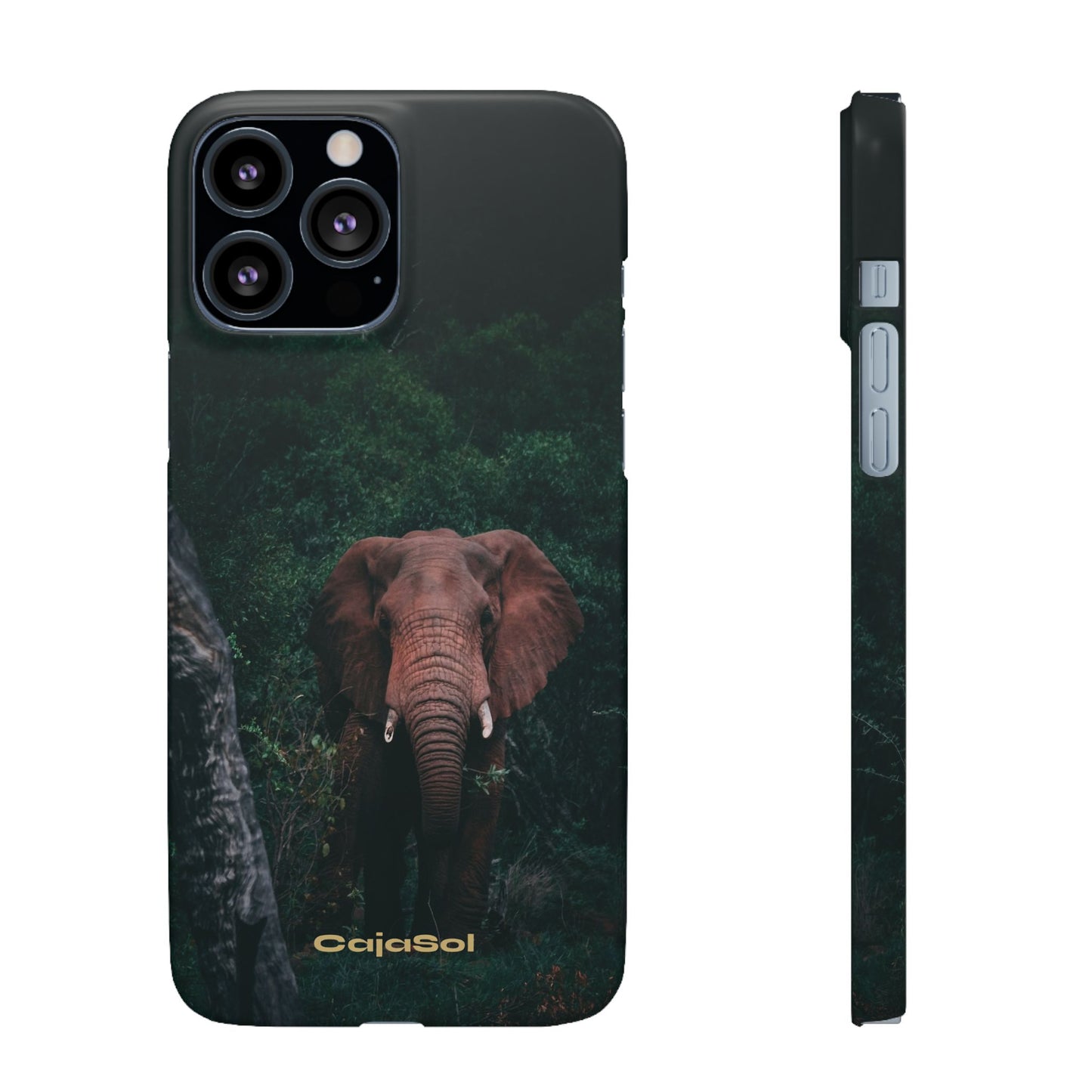 Wildlife Lover's Cajasol - Majestic Elephant