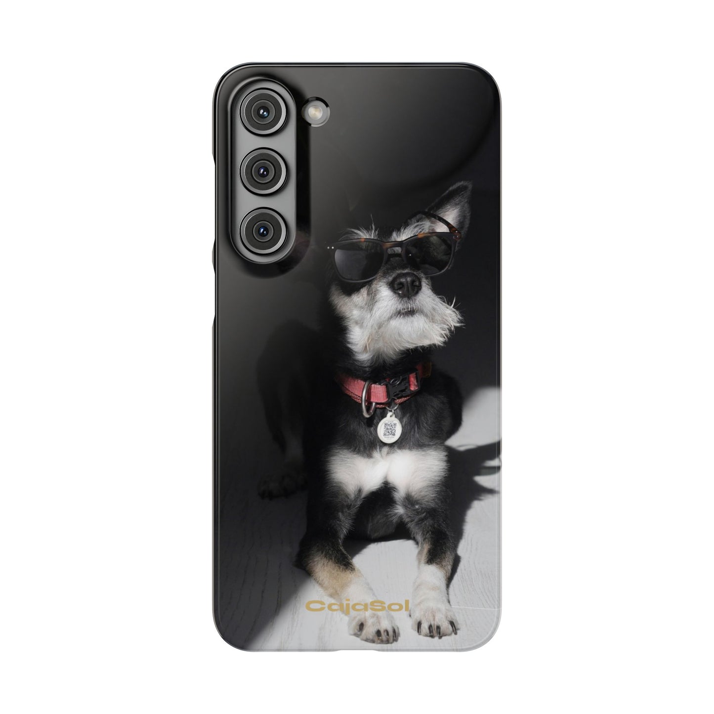 Cool Dog Cajasol - Stylish Pet