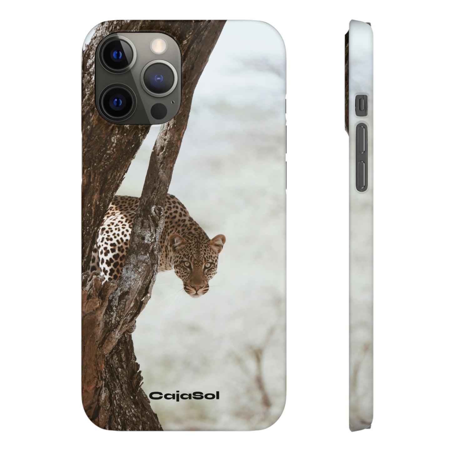 Leopard Cajasol - Wildlife Vibes