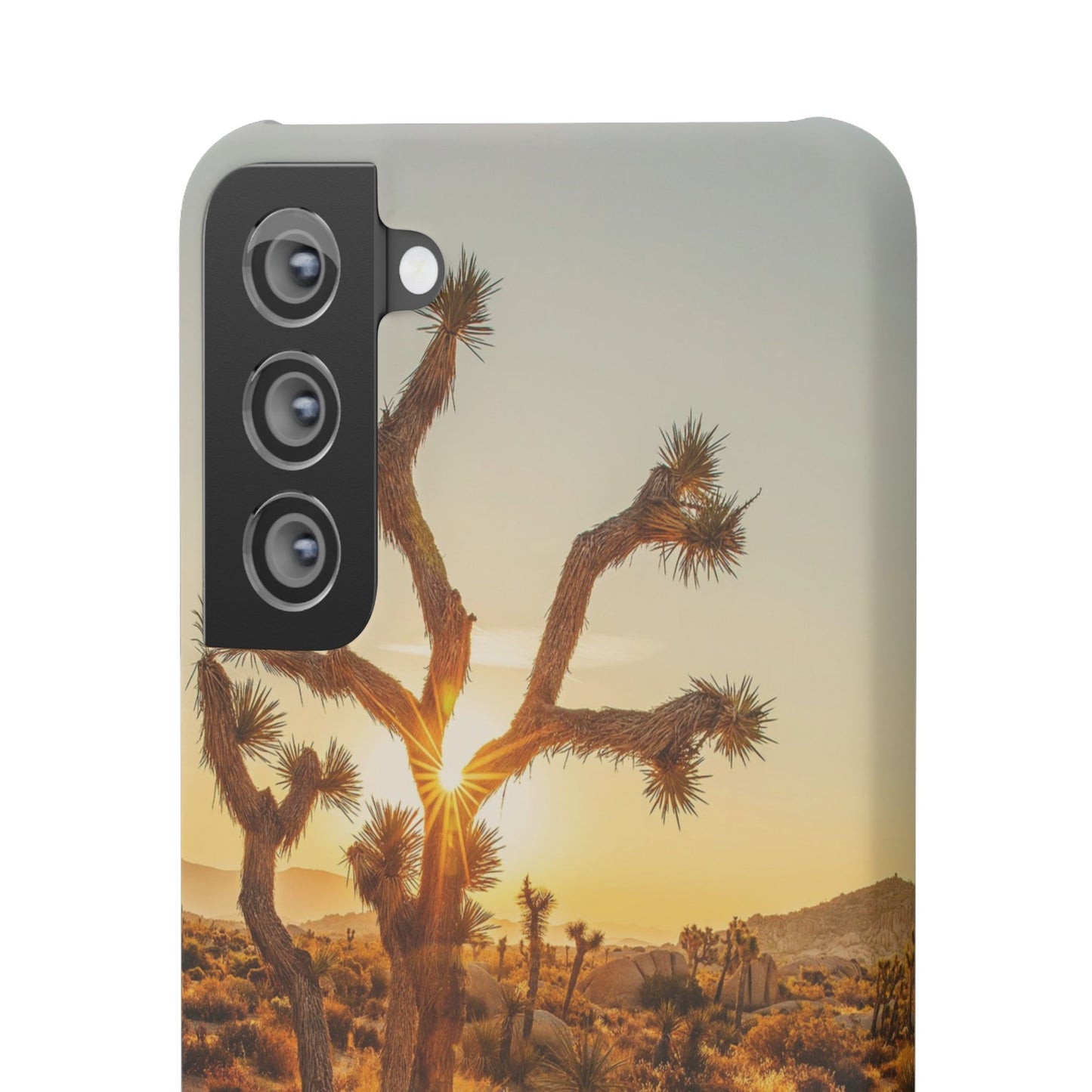 Desert Sunset Cajasol - Stylish Protection for Nature Lovers