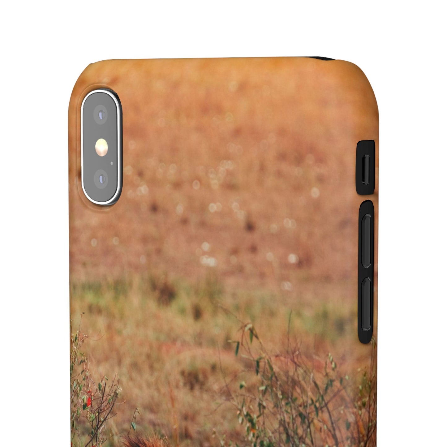Majestic Lion Cajasol - Nature Inspired