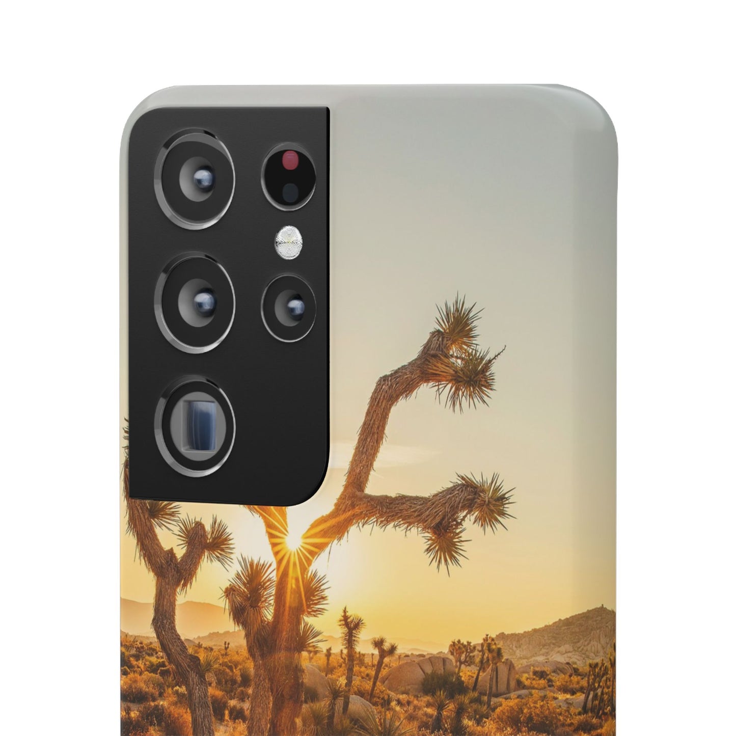 Desert Sunset Cajasol - Stylish Protection for Nature Lovers