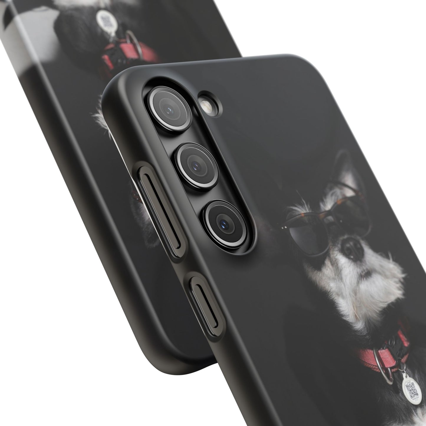 Cool Dog Cajasol - Stylish Pet