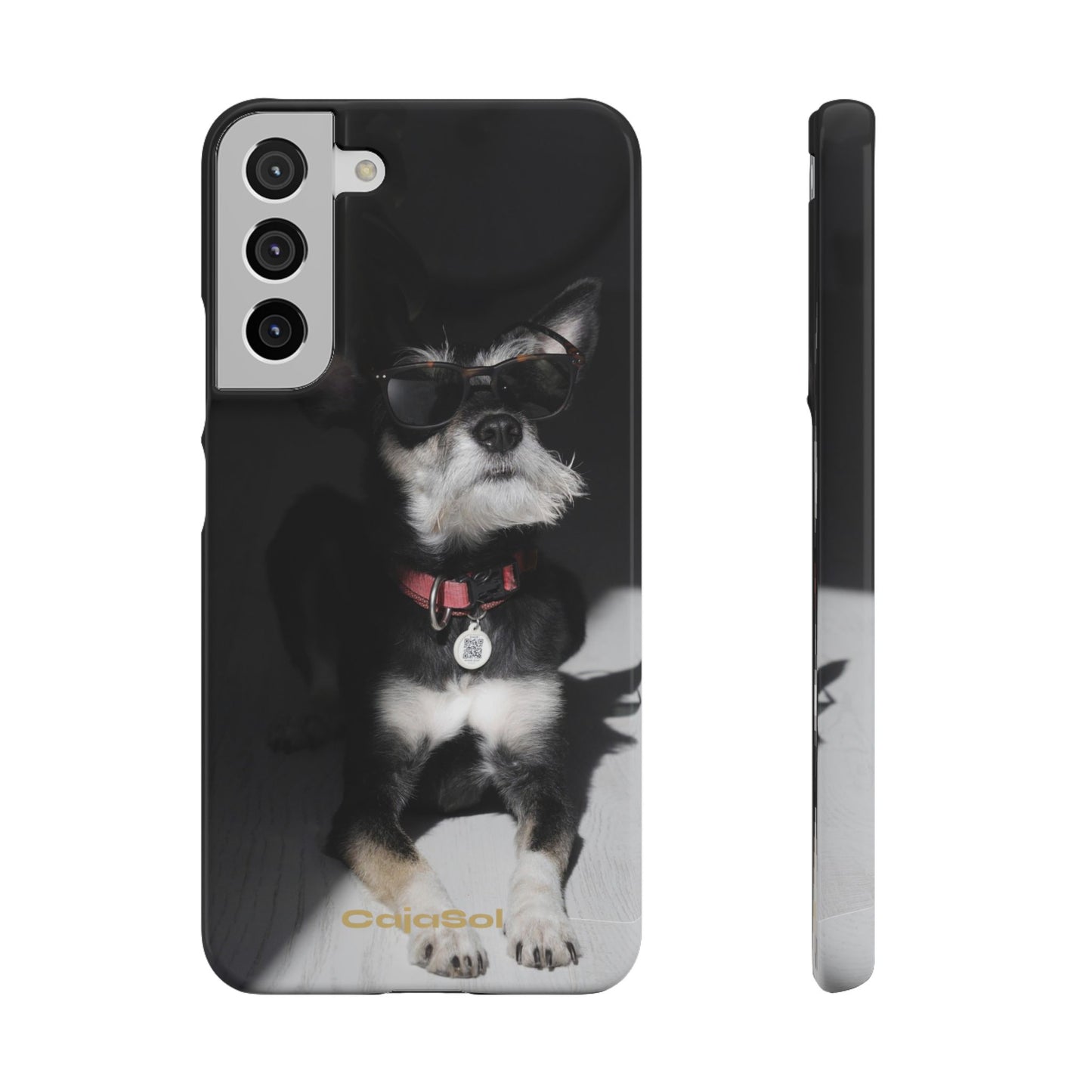 Cool Dog Cajasol - Stylish Pet