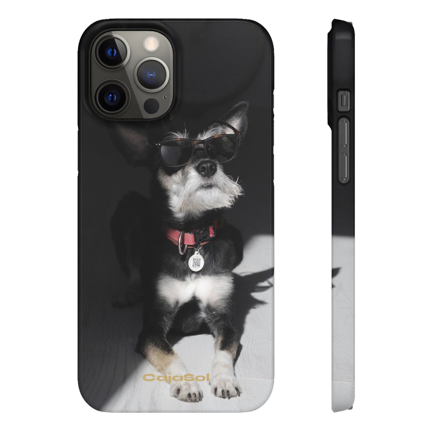 Cool Dog Cajasol - Stylish Pet