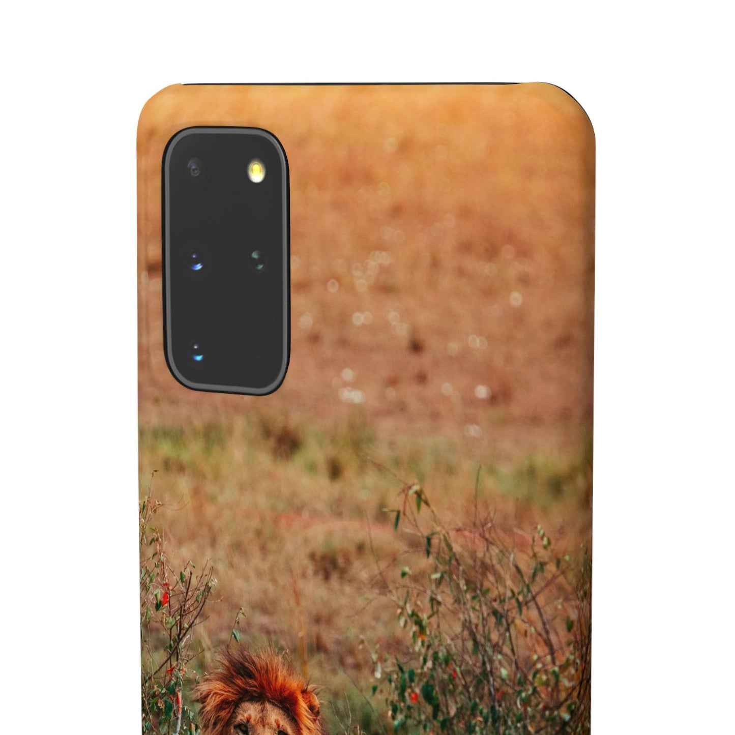 Majestic Lion Cajasol - Nature Inspired