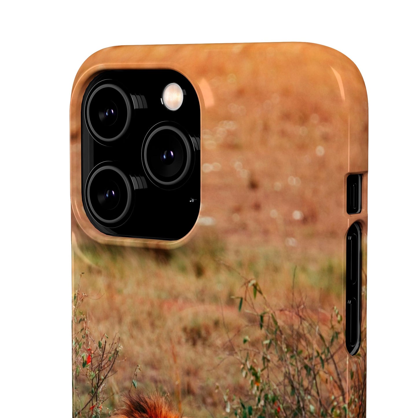 Majestic Lion Cajasol - Nature Inspired