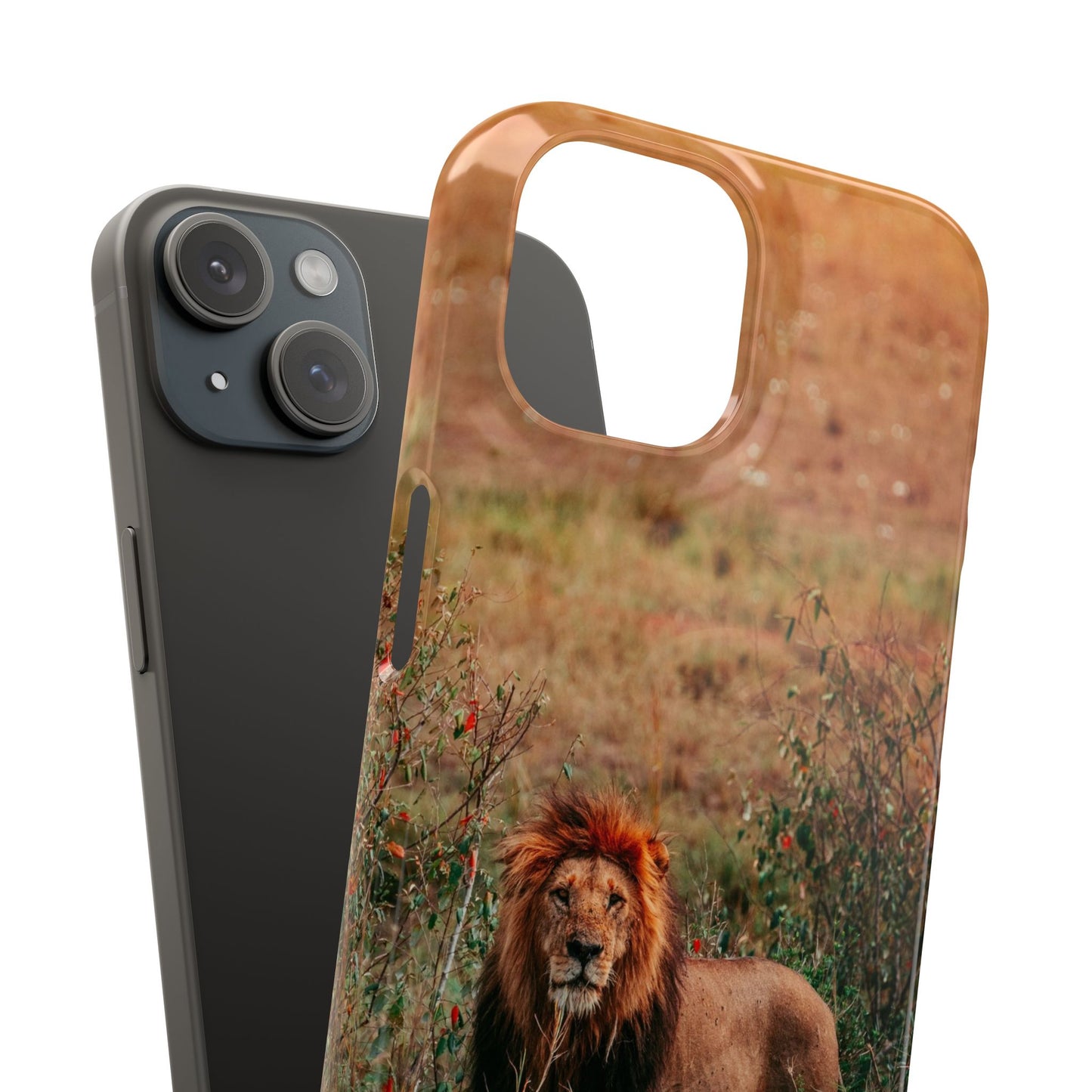 Majestic Lion Cajasol - Nature Inspired
