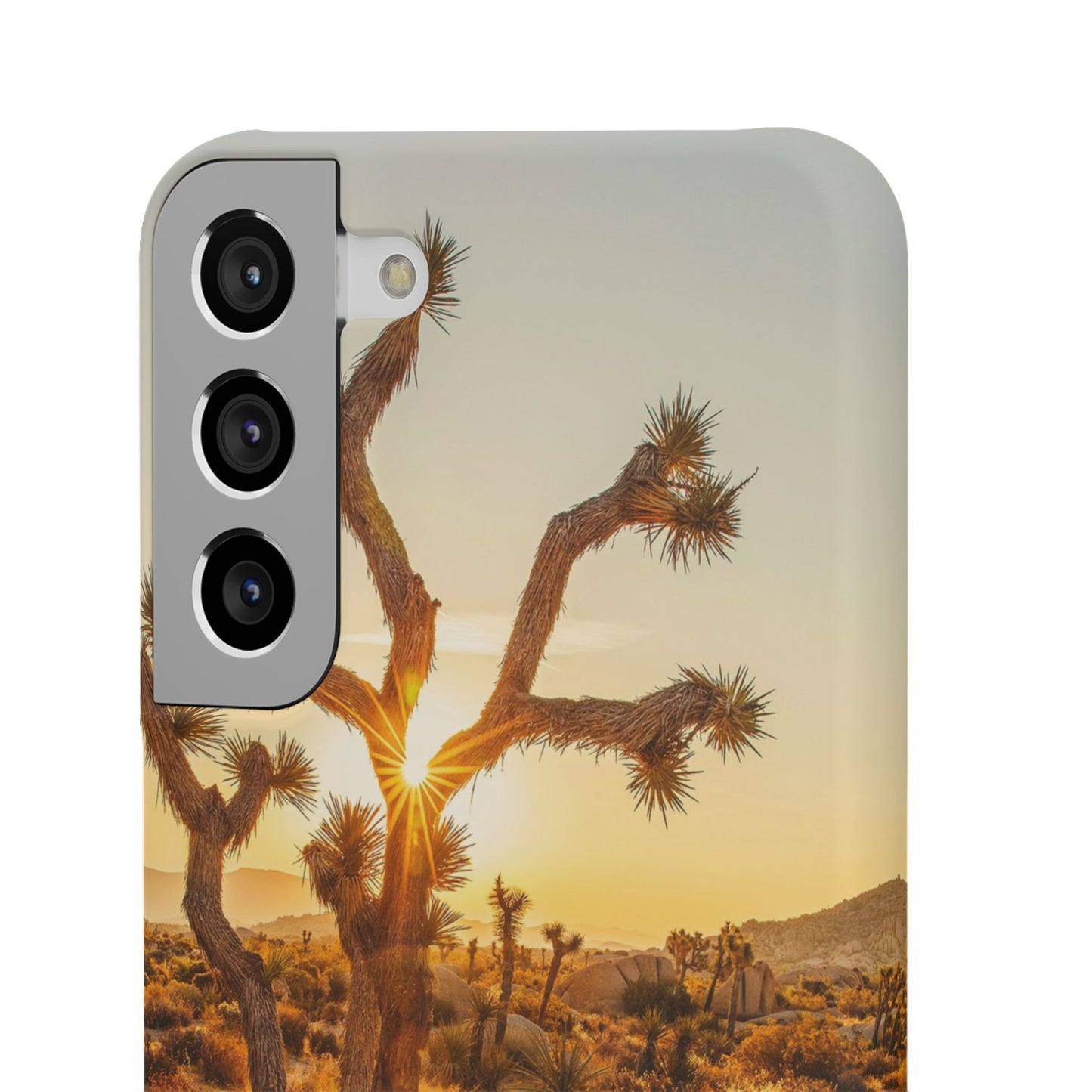 Desert Sunset Cajasol - Stylish Protection for Nature Lovers
