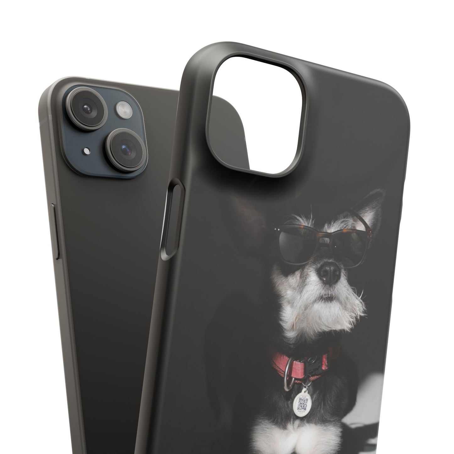 Cool Dog Cajasol - Stylish Pet