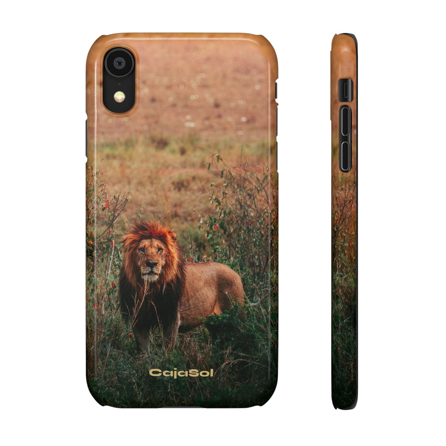 Majestic Lion Cajasol - Nature Inspired