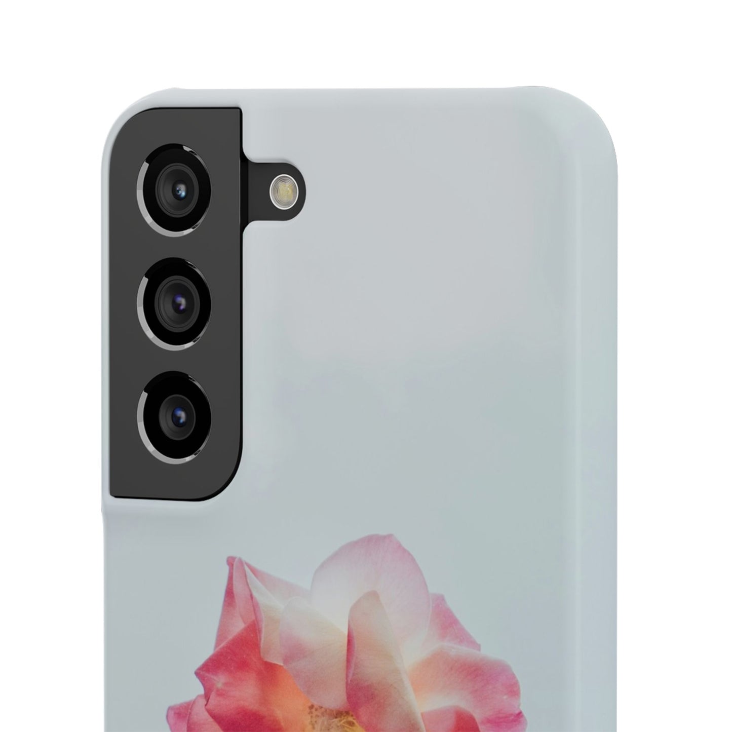 Floral Cajasol - Elegant Pink Flower