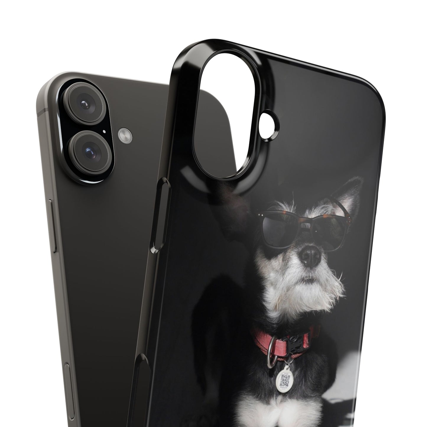 Cool Dog Cajasol - Stylish Pet