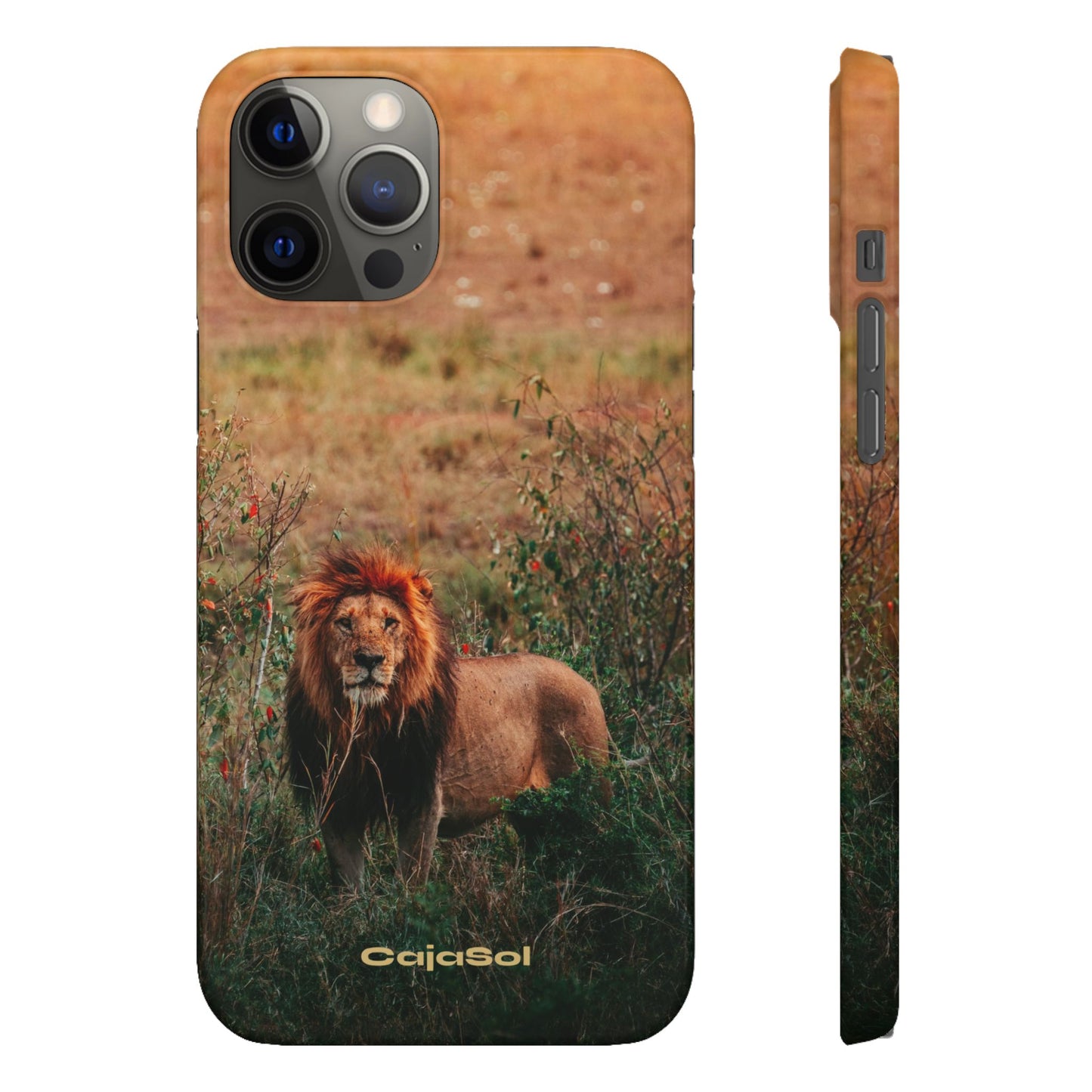 Majestic Lion Cajasol - Nature Inspired