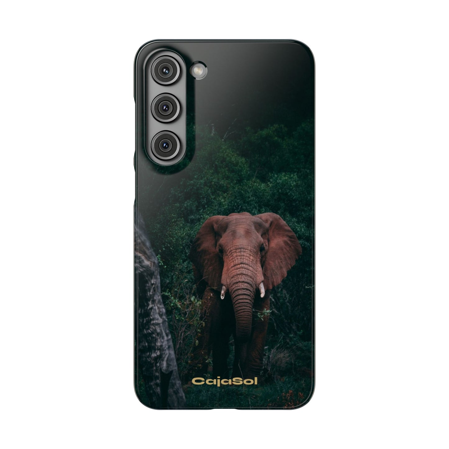 Wildlife Lover's Cajasol - Majestic Elephant