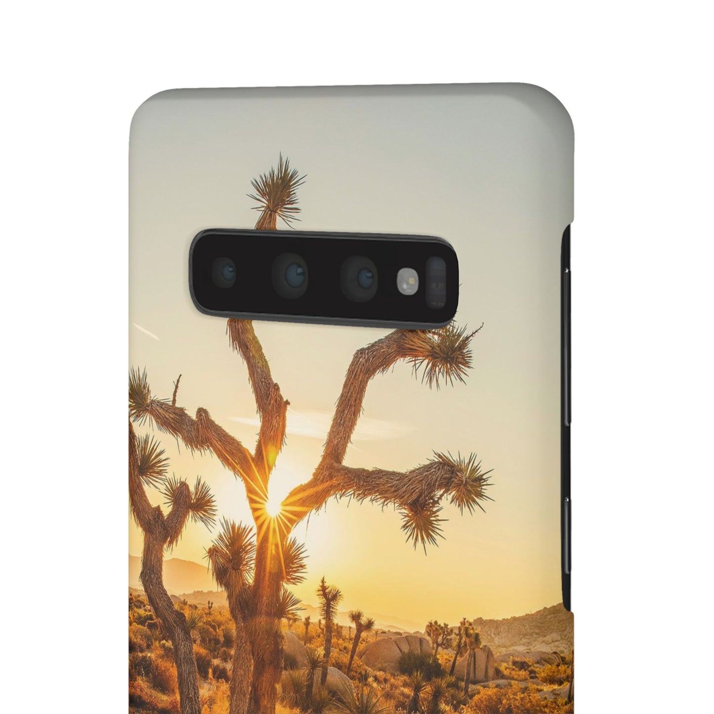 Desert Sunset Cajasol - Stylish Protection for Nature Lovers