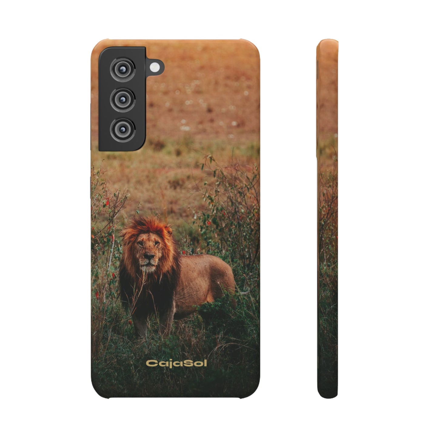 Majestic Lion Cajasol - Nature Inspired
