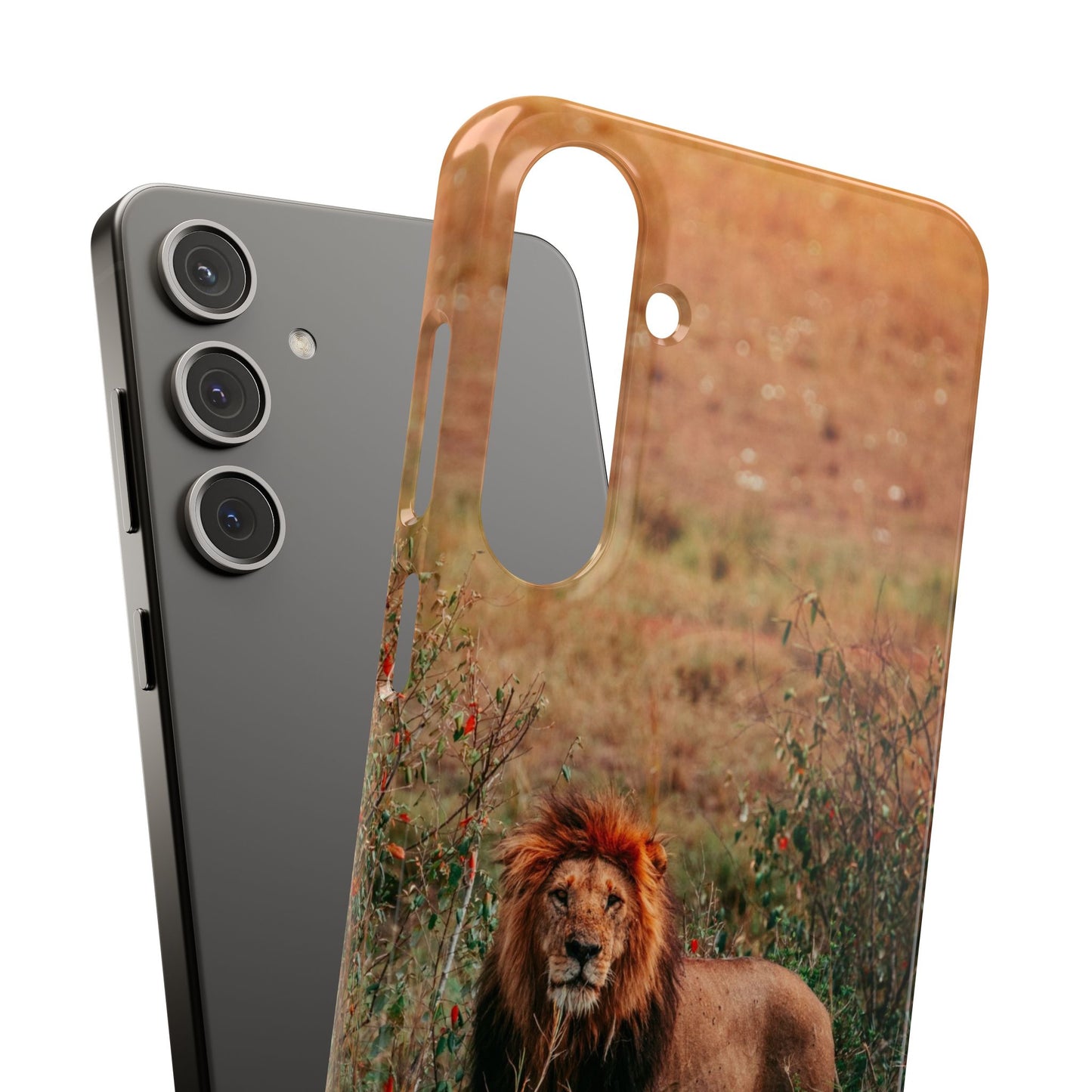Majestic Lion Cajasol - Nature Inspired