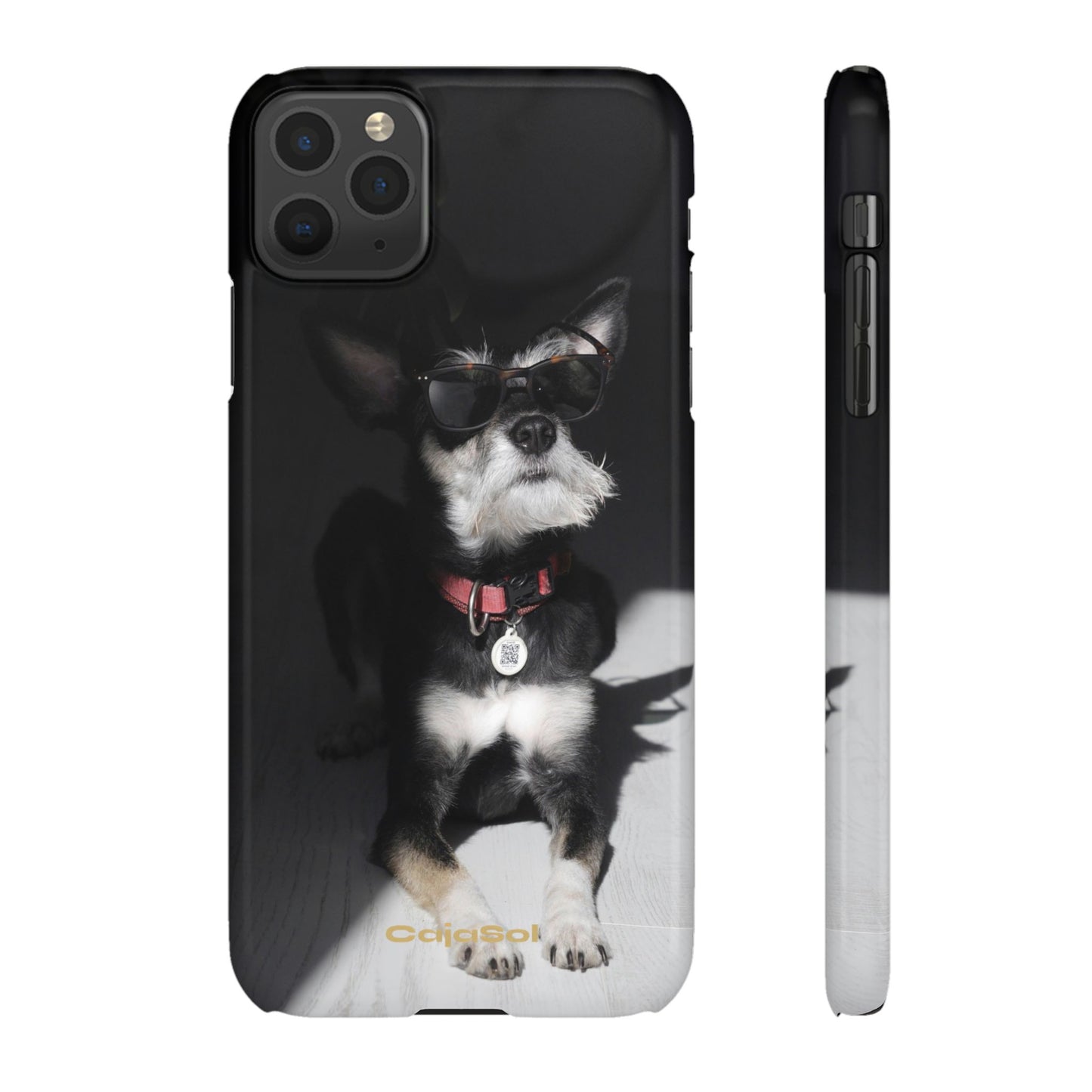 Cool Dog Cajasol - Stylish Pet
