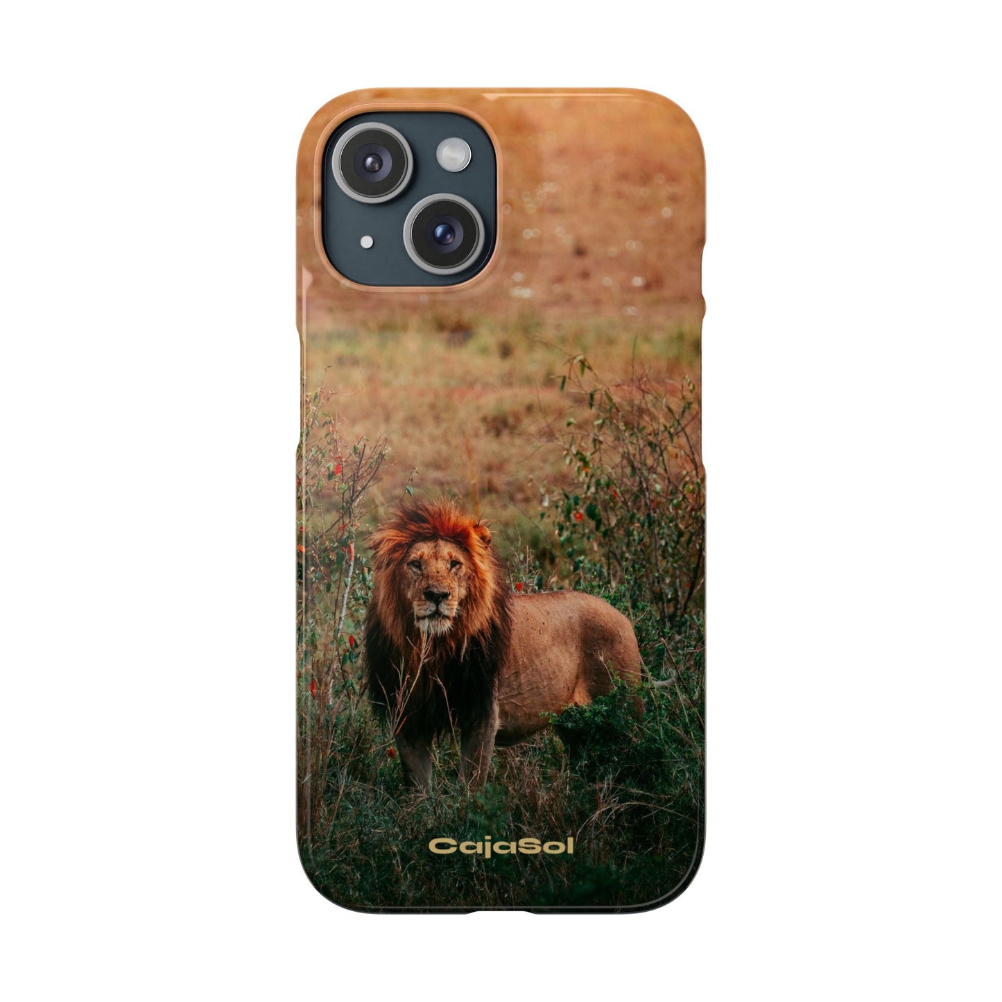 Majestic Lion Cajasol - Nature Inspired